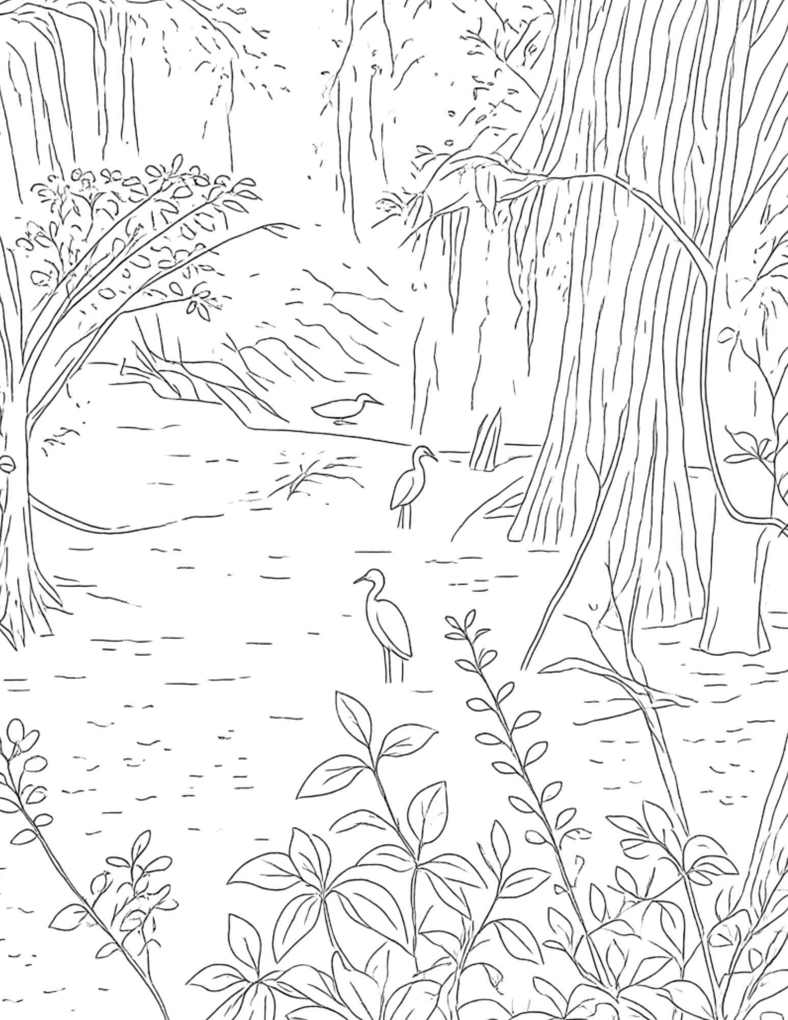 Coloring Pages