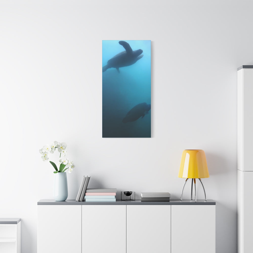 Sea Turtle and Humphead Wrasse Ocean Canvas Wall Art — Matte Stretched 1.25"