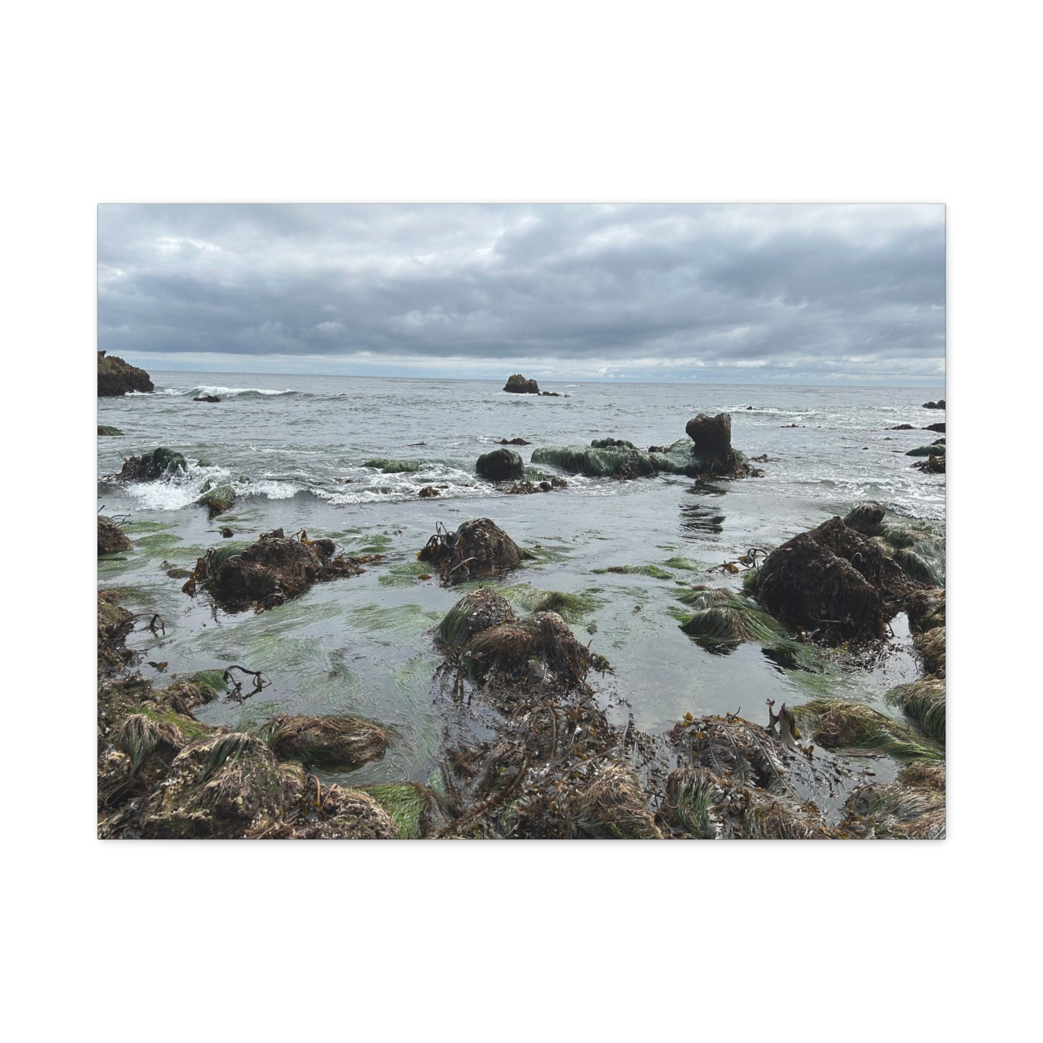 Coastal Tidepool Canvas Wall Art – Moody Gray Seashore Matte Stretched Canvas