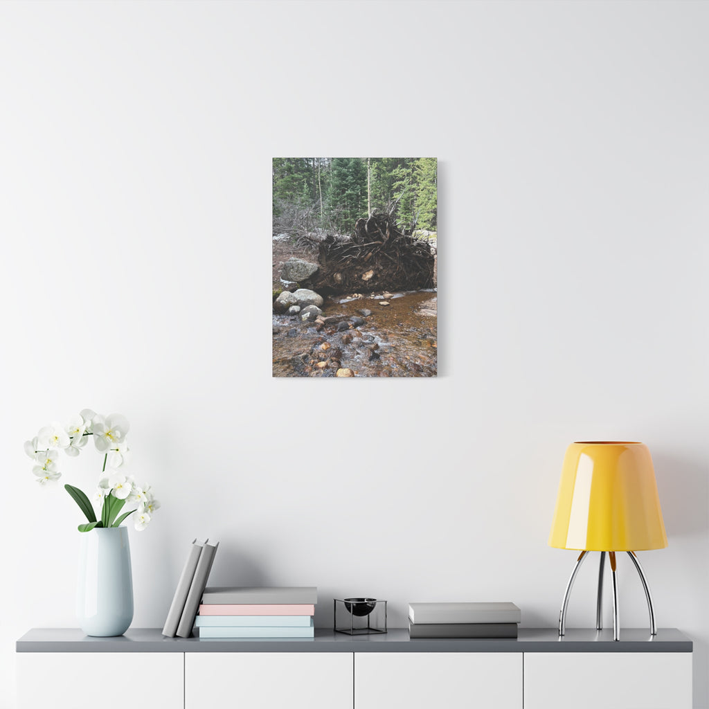 Riverbank Forest Canvas Print – Matte Stretched Wall Art (1.25")