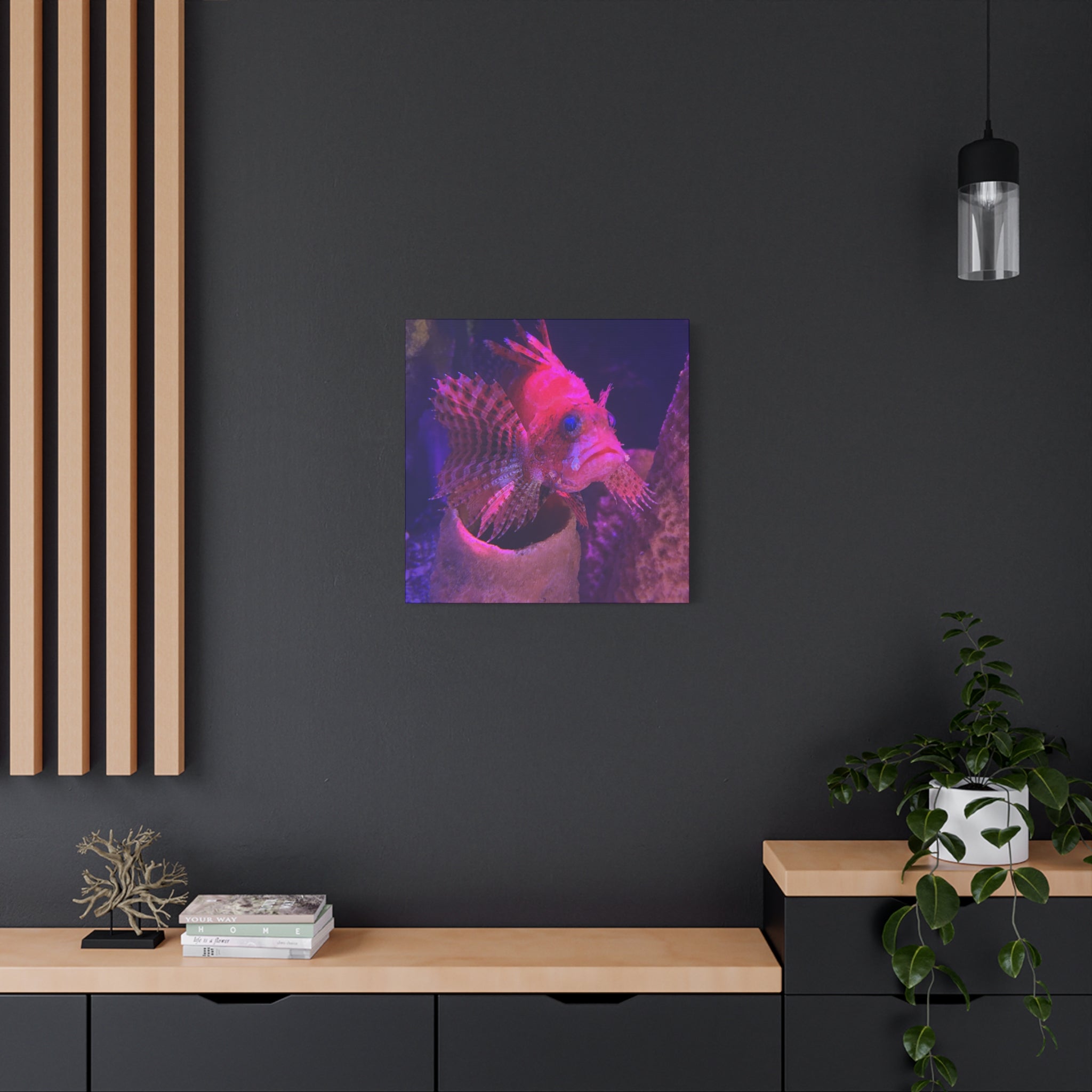 Fuzzy Dwarf Lionfish Canvas Print — Vibrant Marine Wall Art (1.25" Stretched)