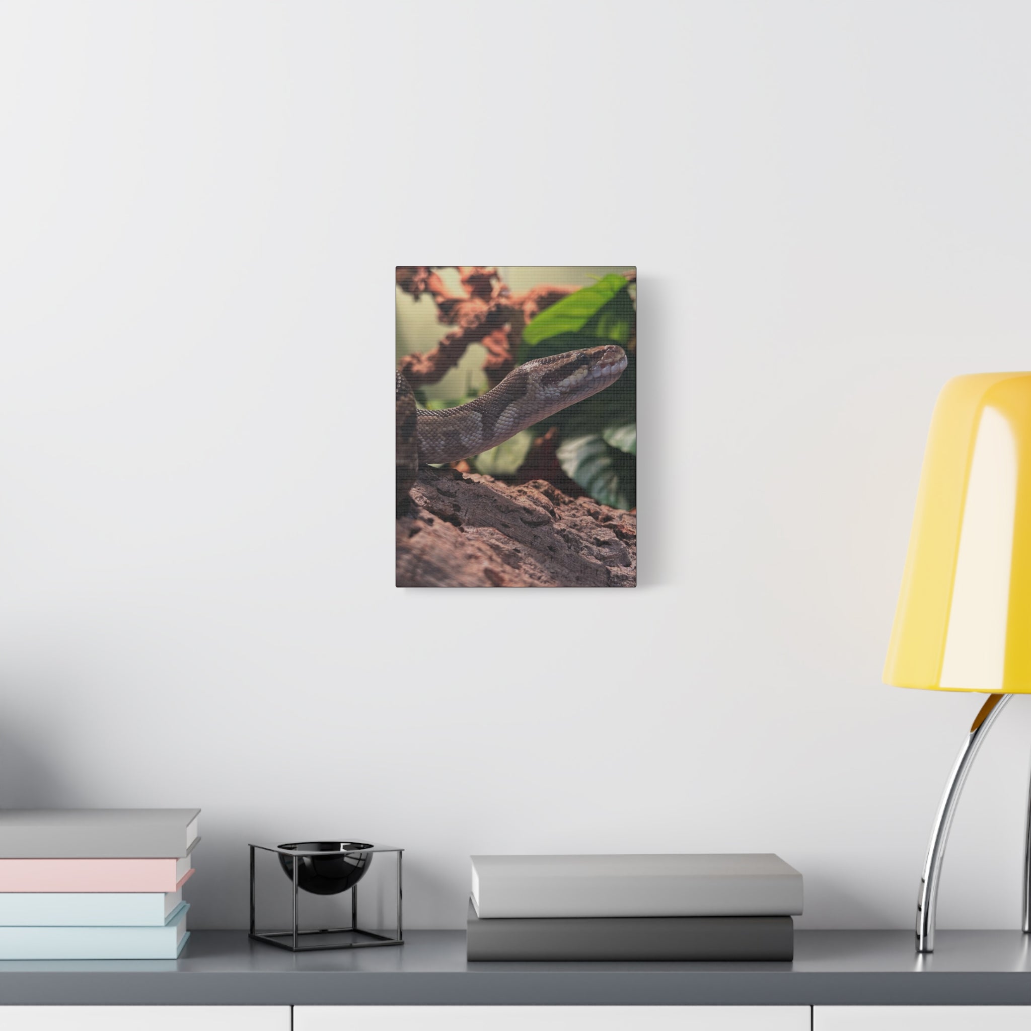 Ball Python Wildlife Matte Stretched Canvas Print — Reptile Wall Art