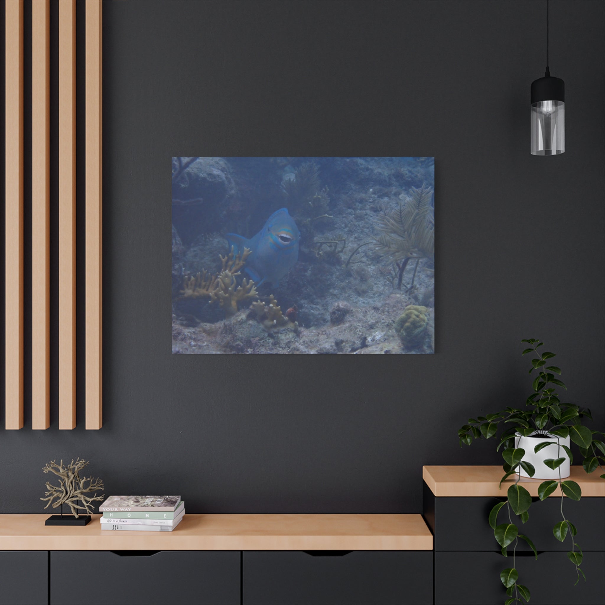 Underwater Parrotfish Canvas Print — Tropical Reef Wall Art