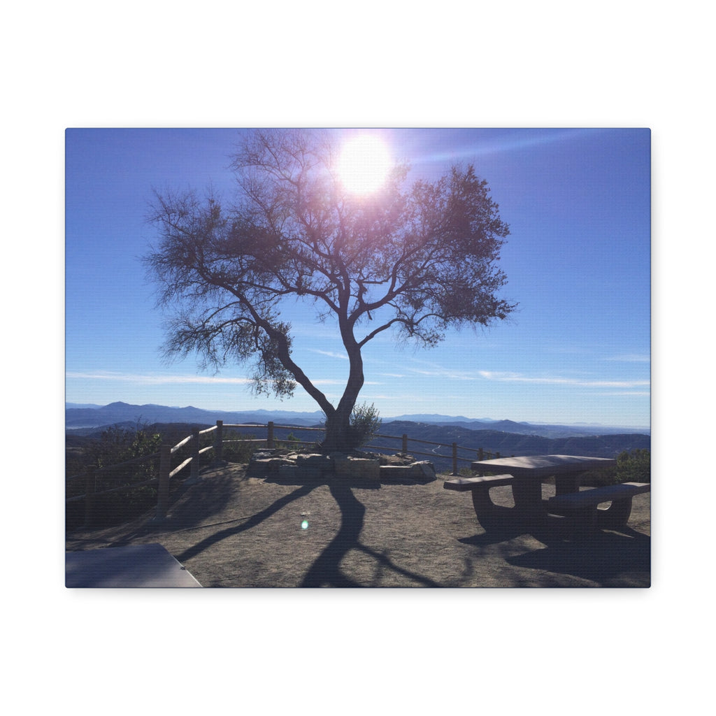 Sunlit Ridge Tree Matte Canvas Print — Scenic Landscape Wall Art