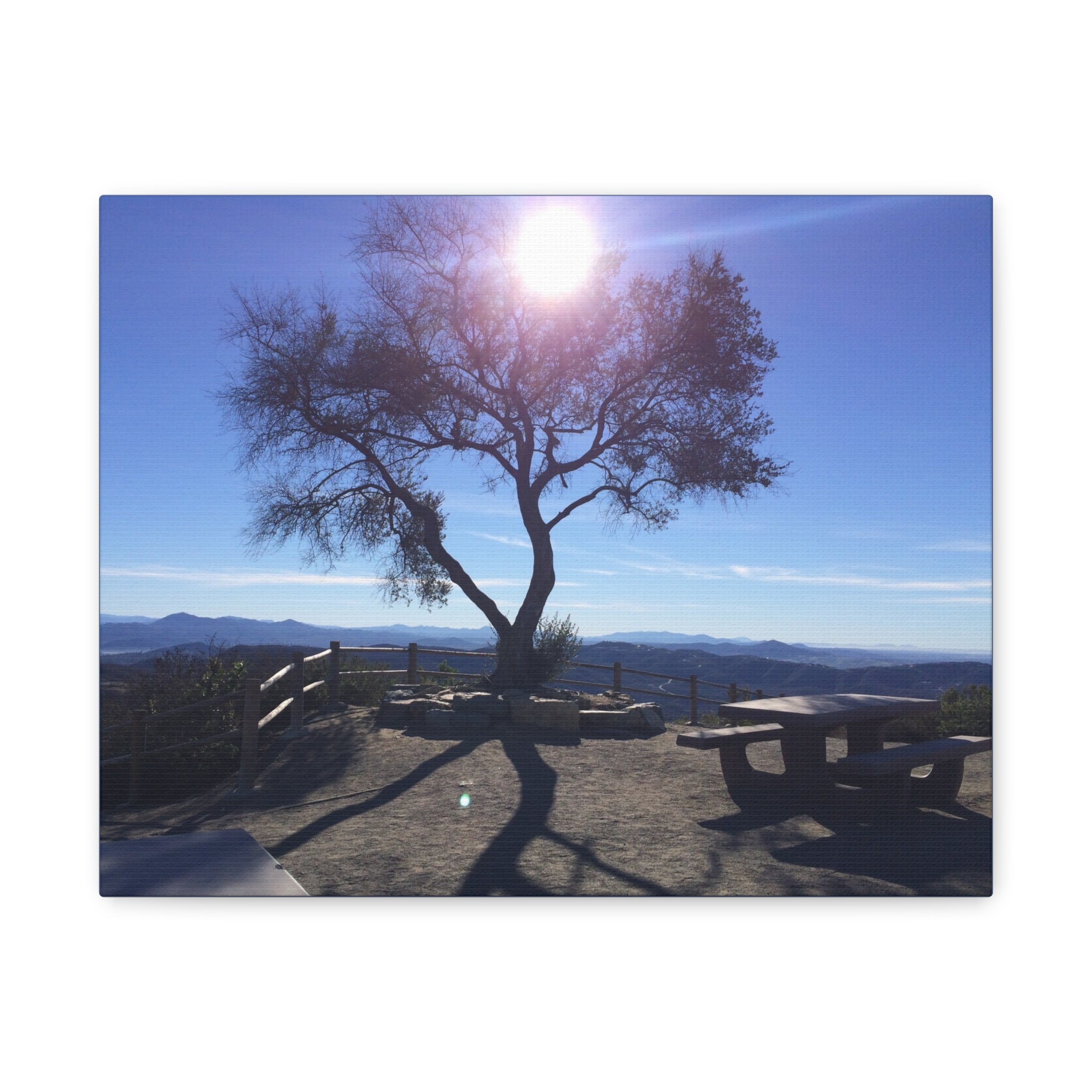 Sunlit Ridge Tree Matte Canvas Print — Scenic Landscape Wall Art