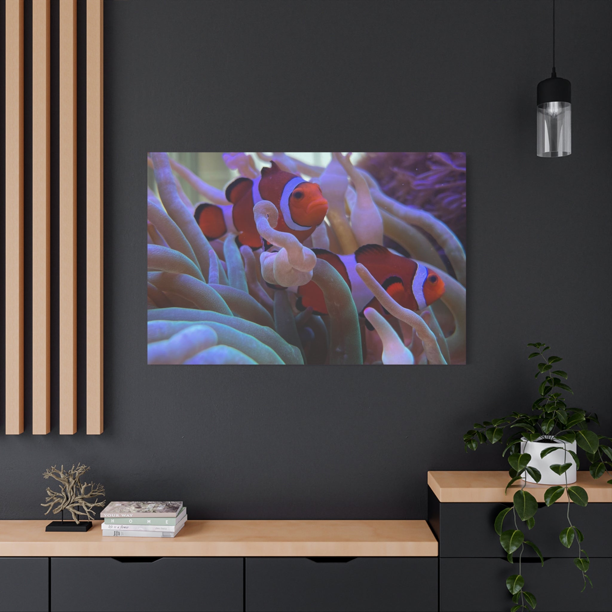 Clownfish Reef Matte Stretched Canvas Wall Art