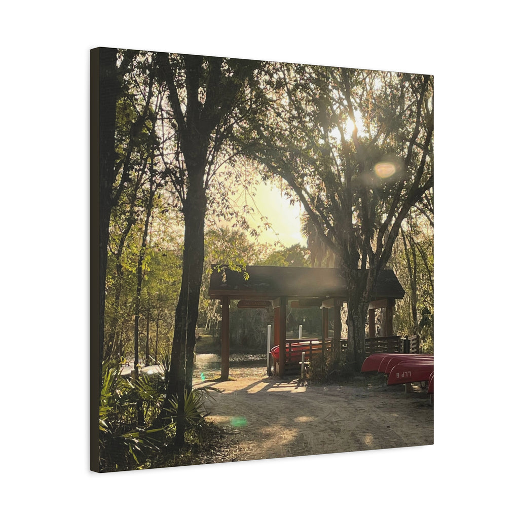 Hazy Morning Kayak - Sunlit Forest Matte Stretched Wall Art