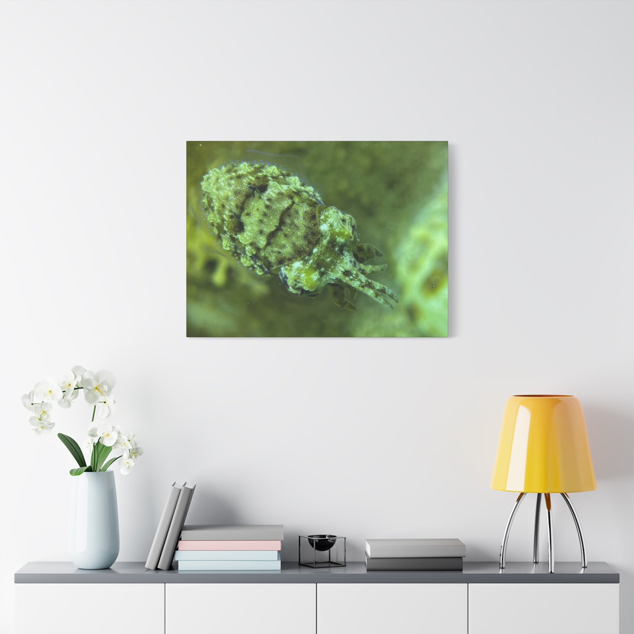 Dwarf Cuttlefish Canvas Print — Matte Stretched Sea Life Wall Art