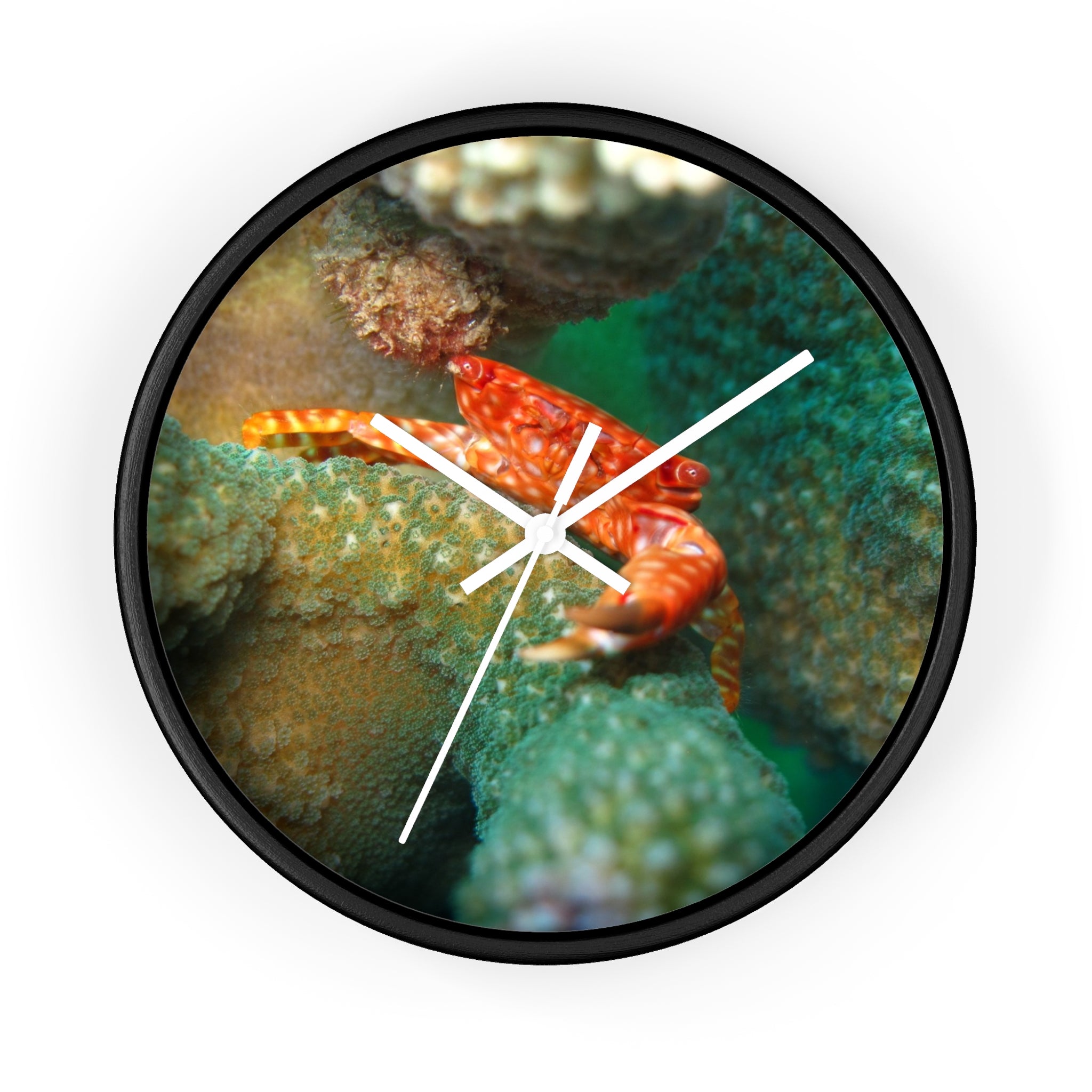 Coral Reef Crab Wall Clock — Vibrant Underwater Ocean Decor