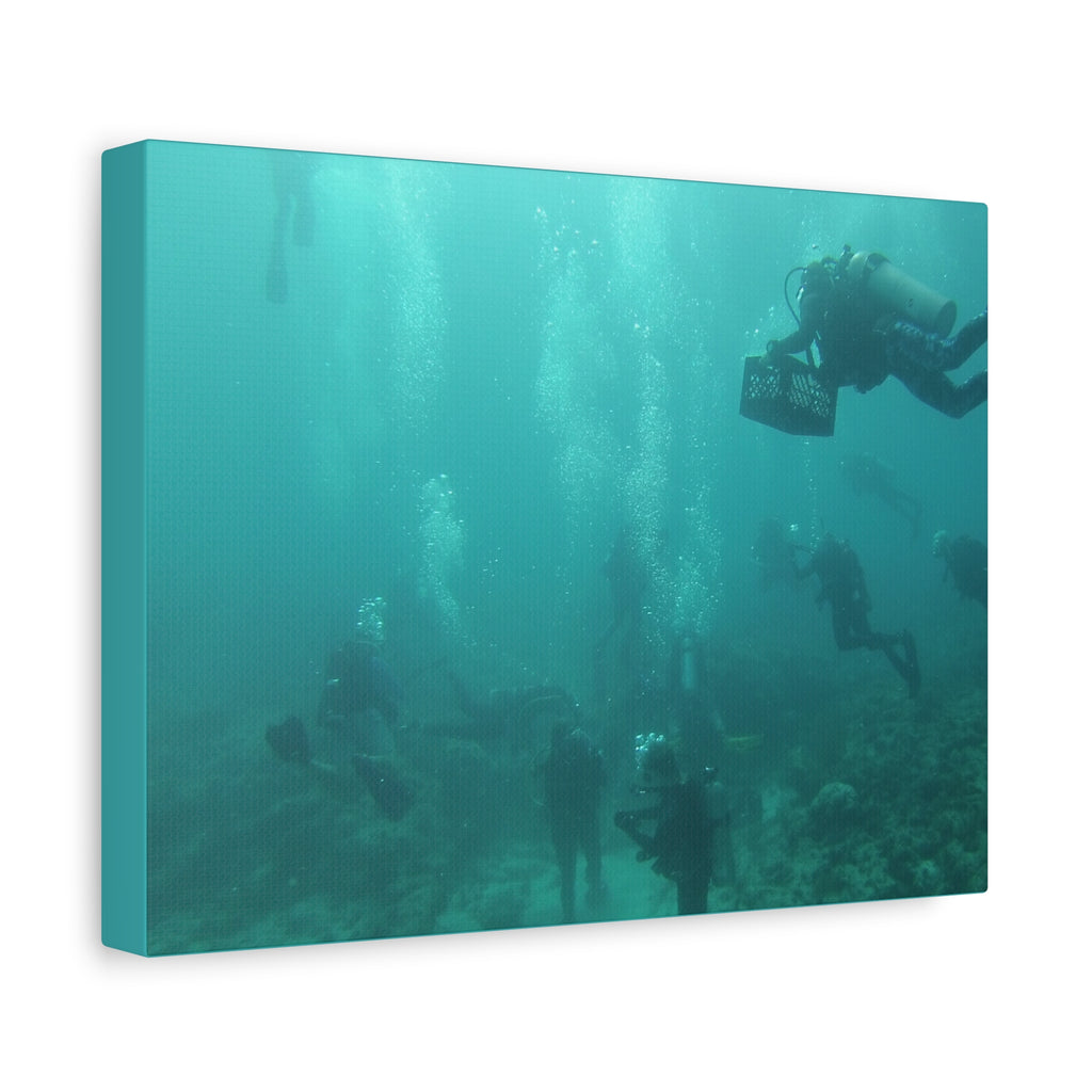Diving over the Reef Matte Canvas