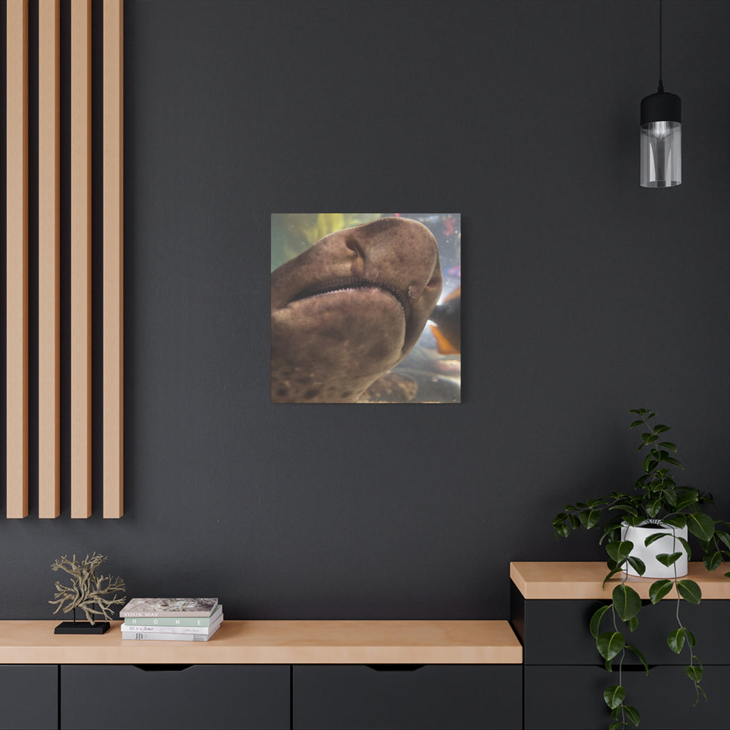 Swell Shark Close-Up Matte Canvas Print — Stretched 1.25" Wall Art
