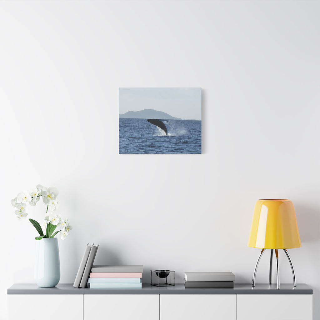Humpback Whale Breach Matte Canvas Wall Art