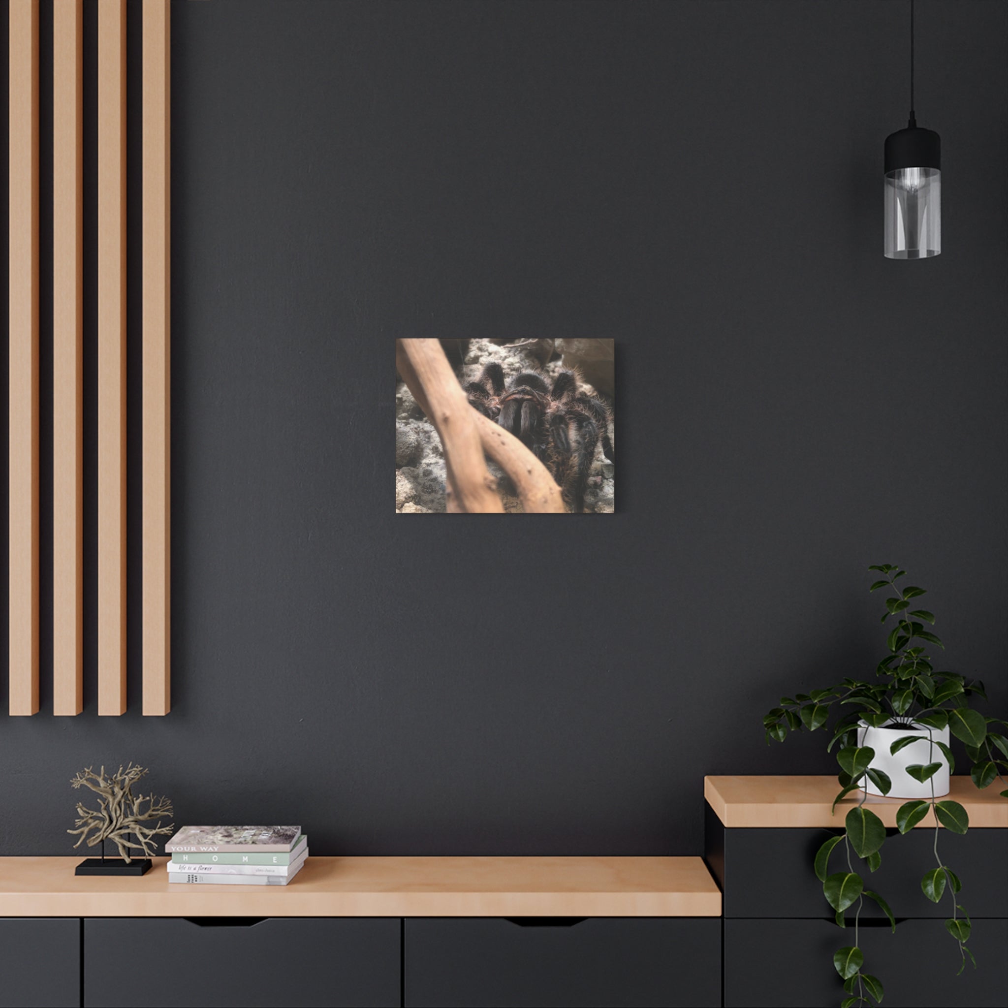 Tarantula Staredown Matte Canvas Print — Naturalistic Arachnid Wall Art