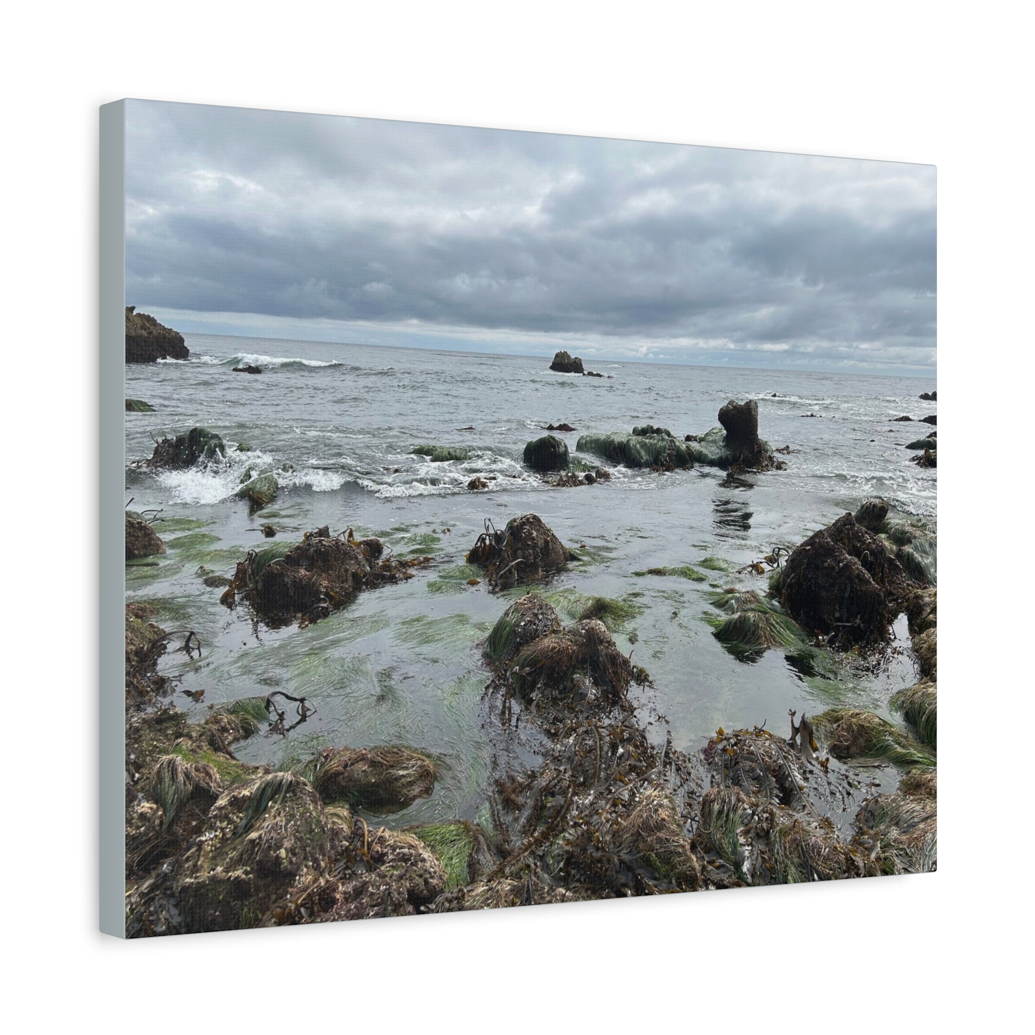 Coastal Tidepool Canvas Wall Art – Moody Gray Seashore Matte Stretched Canvas