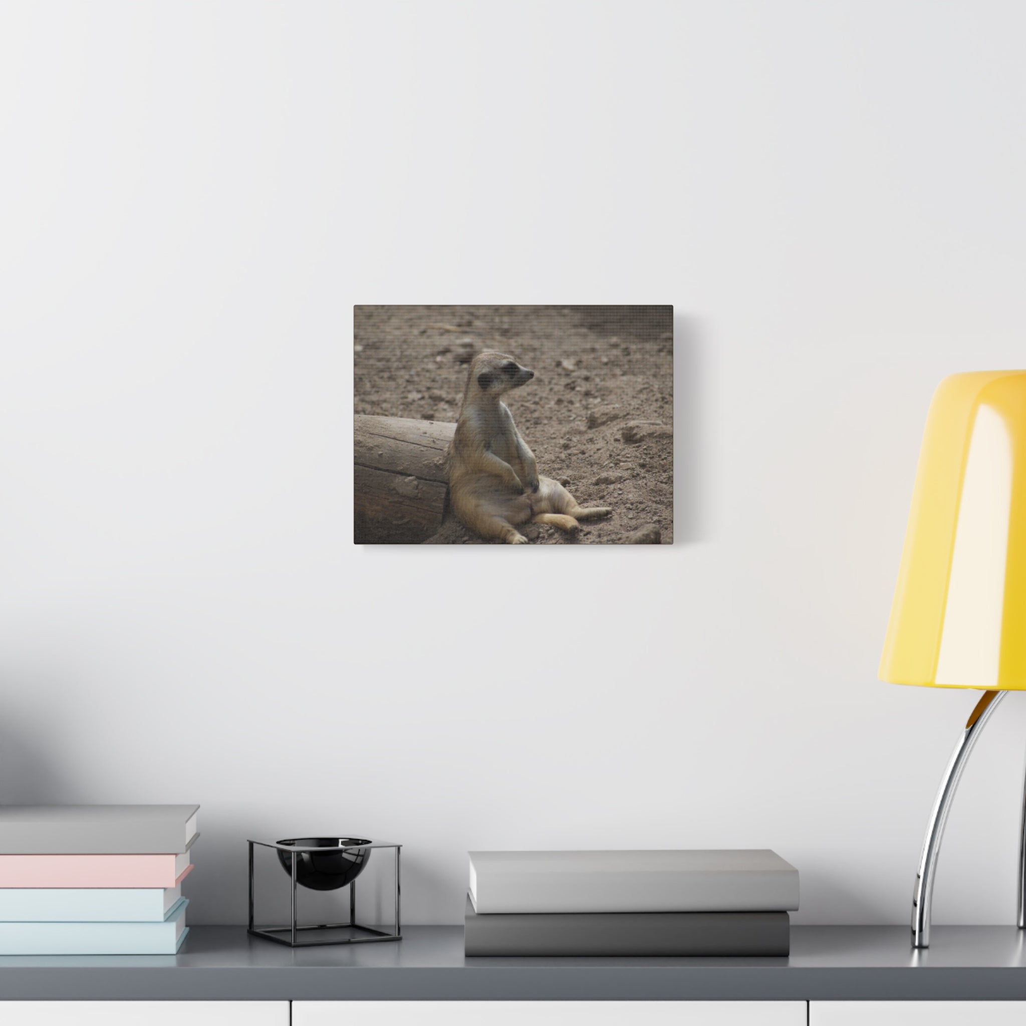 Relaxed Meerkat Matte Canvas Wall Art — Cute Animal Photo Print
