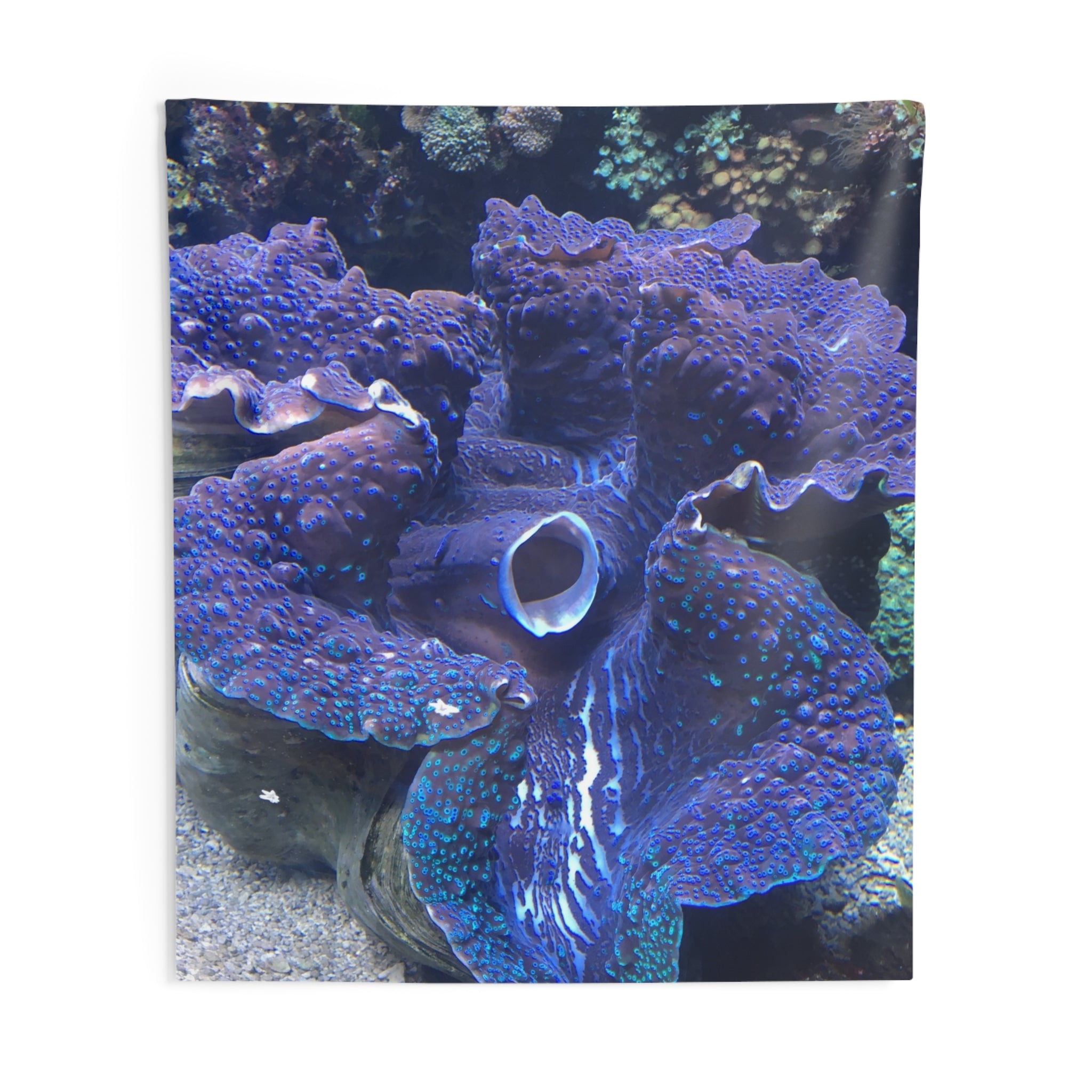 Giant Clam Wall Tapestry — Underwater Ocean Decor