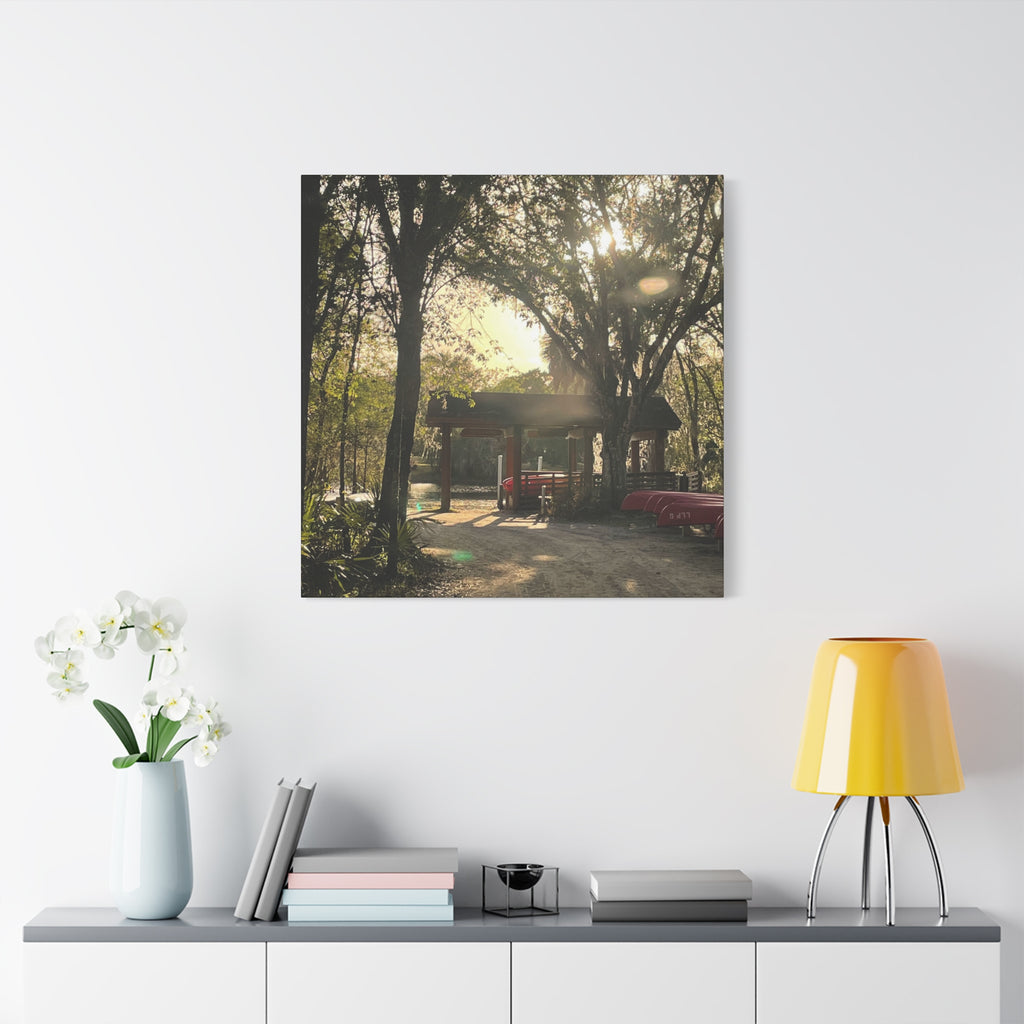 Hazy Morning Kayak - Sunlit Forest Matte Stretched Wall Art