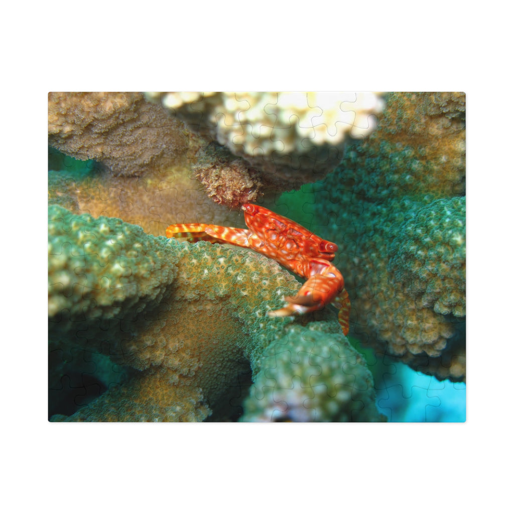 Coral Reef Crab Jigsaw Puzzle (with Tin) — Ocean Puzzle Gift