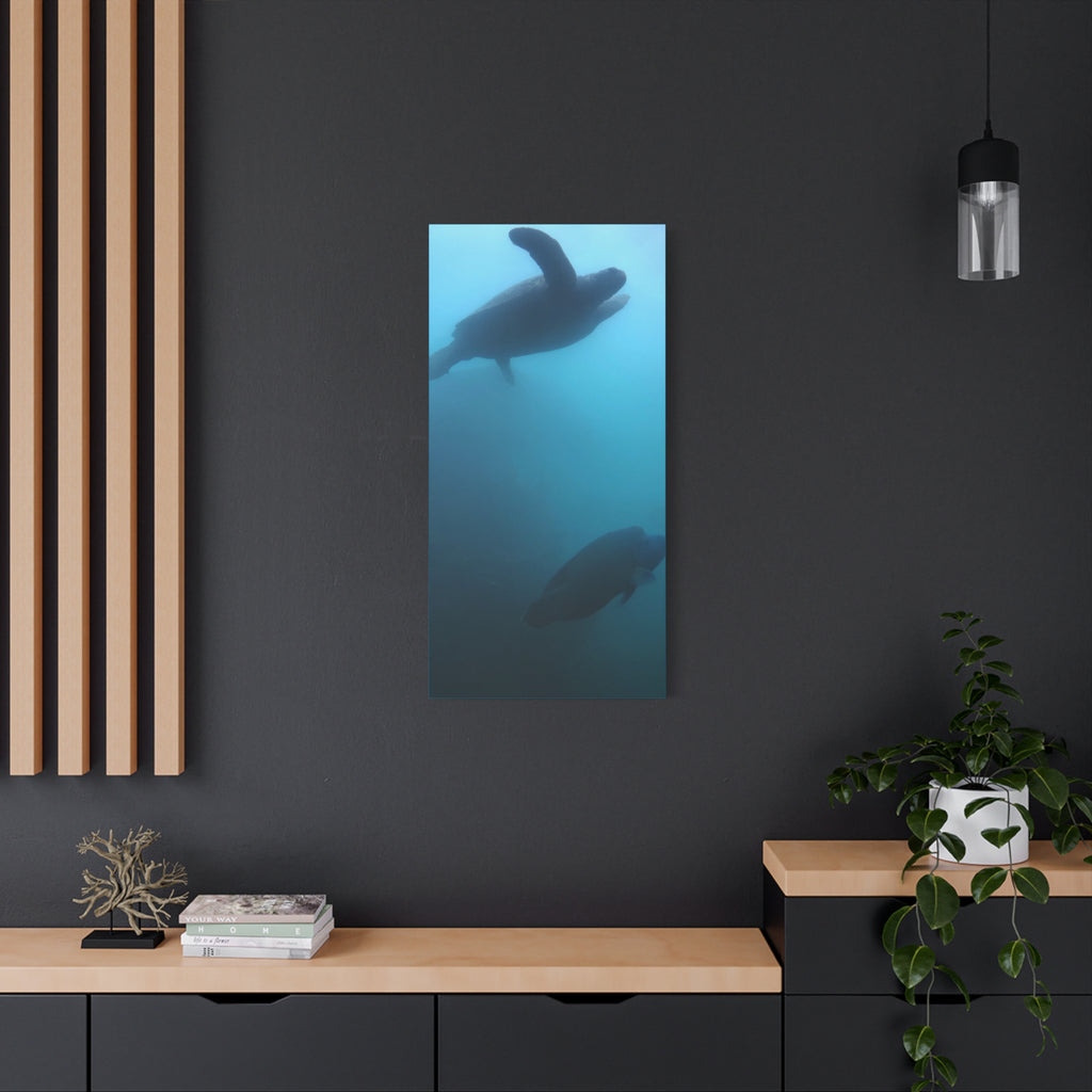 Sea Turtle and Humphead Wrasse Ocean Canvas Wall Art — Matte Stretched 1.25"