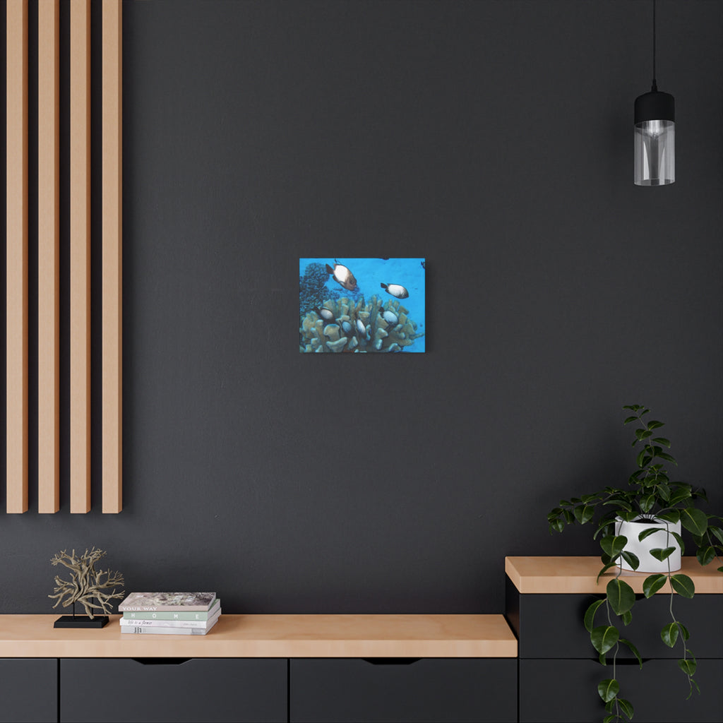 Underwater Coral Reef Canvas Wall Art — Tropical Fish Matte Stretched Canvas