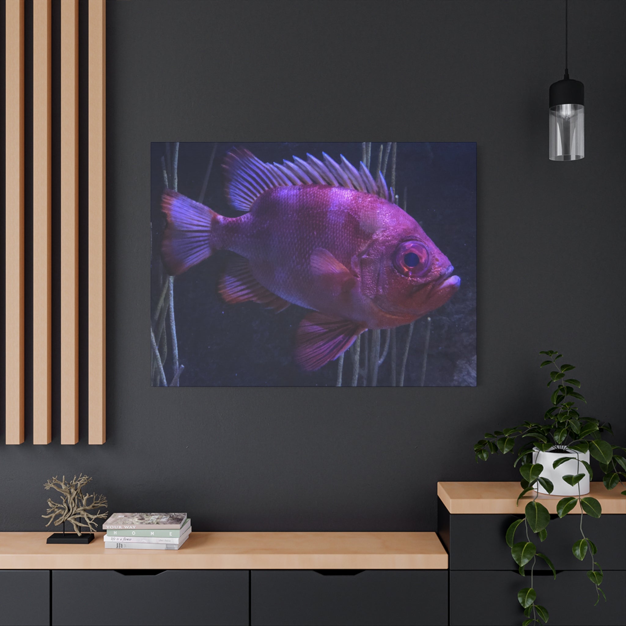 Popeye Catalufa Canvas Print — Vibrant Ocean Wall Art
