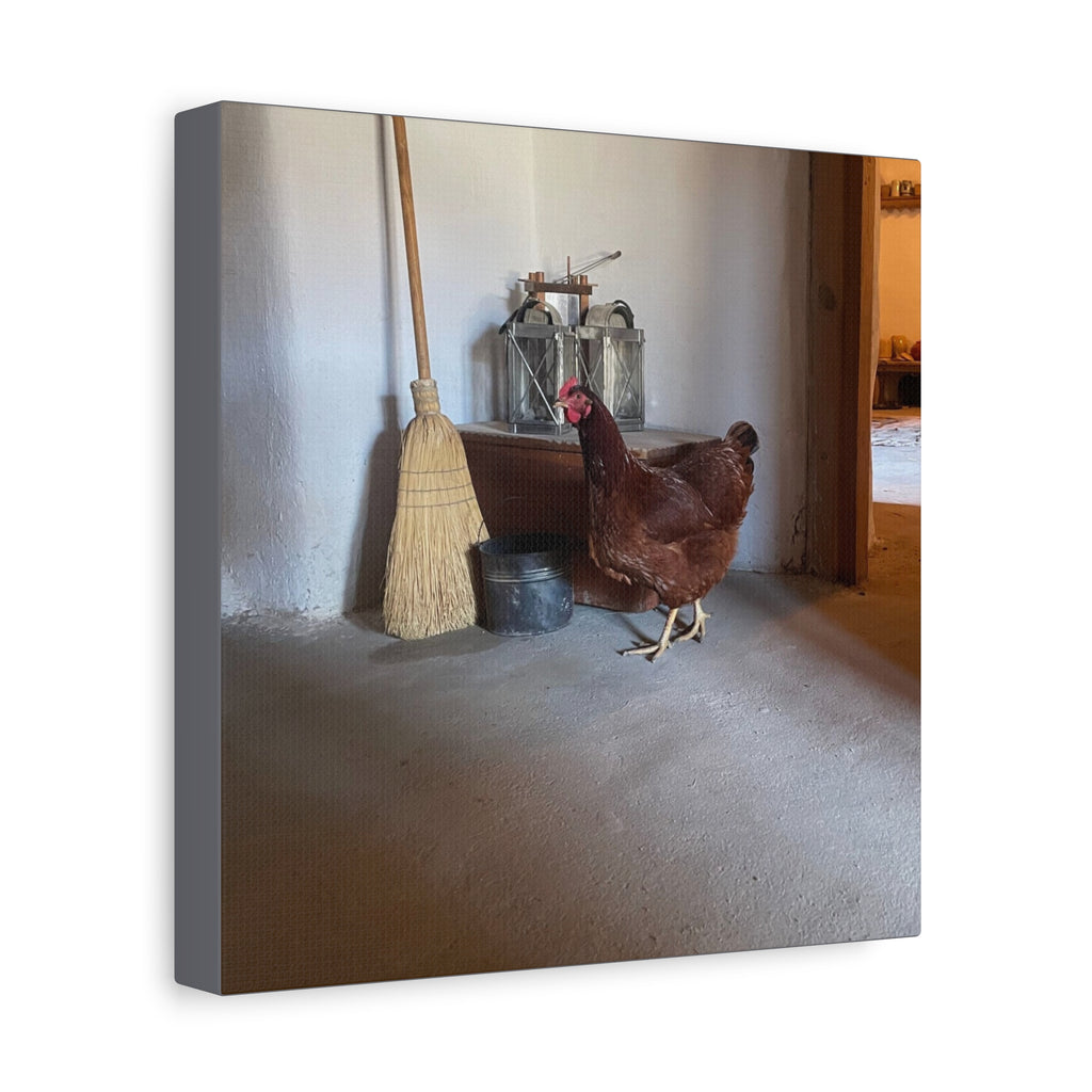 Farmhouse Chicken Canvas Print - Rustic Hen Matte Stretched Wall Art