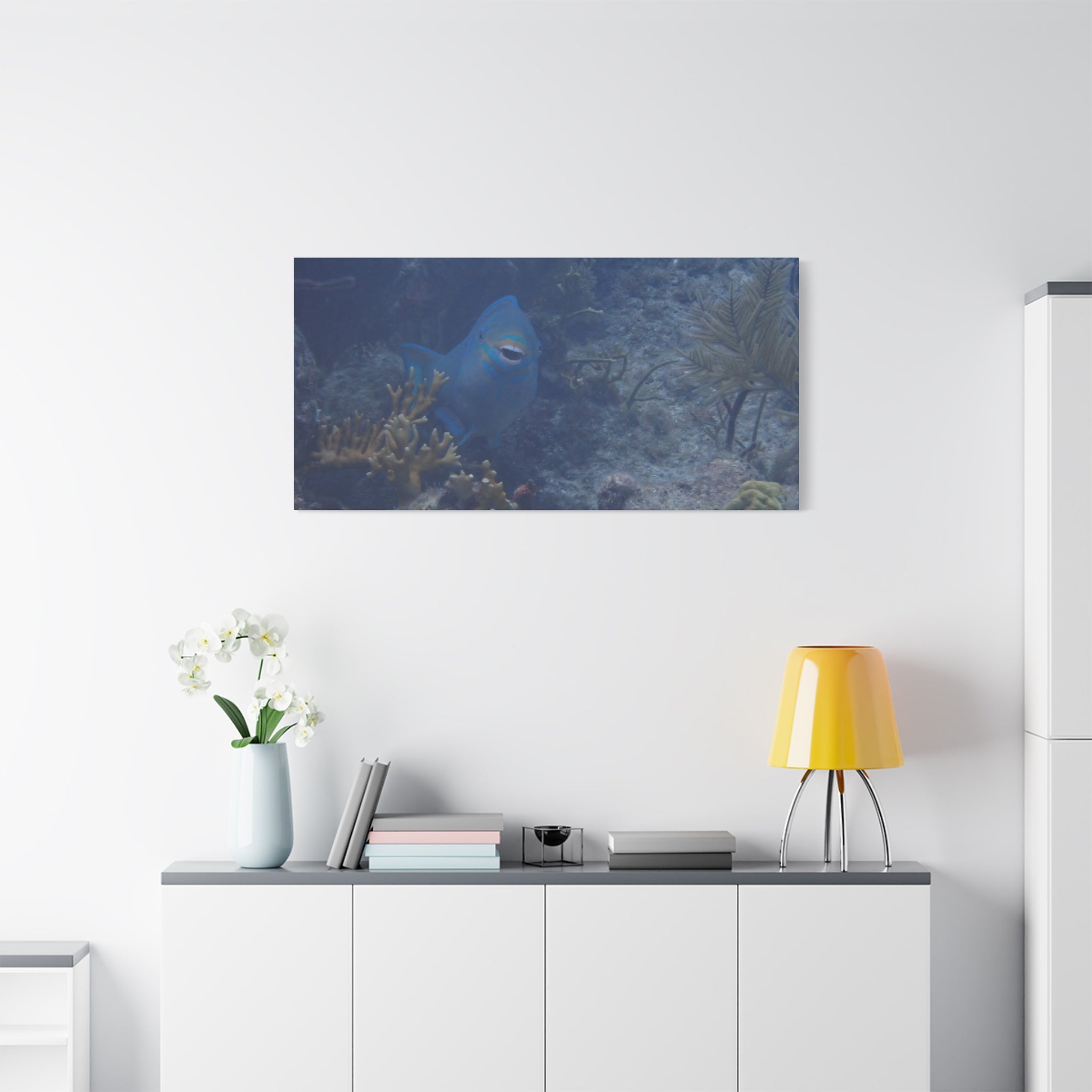 Underwater Parrotfish Canvas Print — Tropical Reef Wall Art