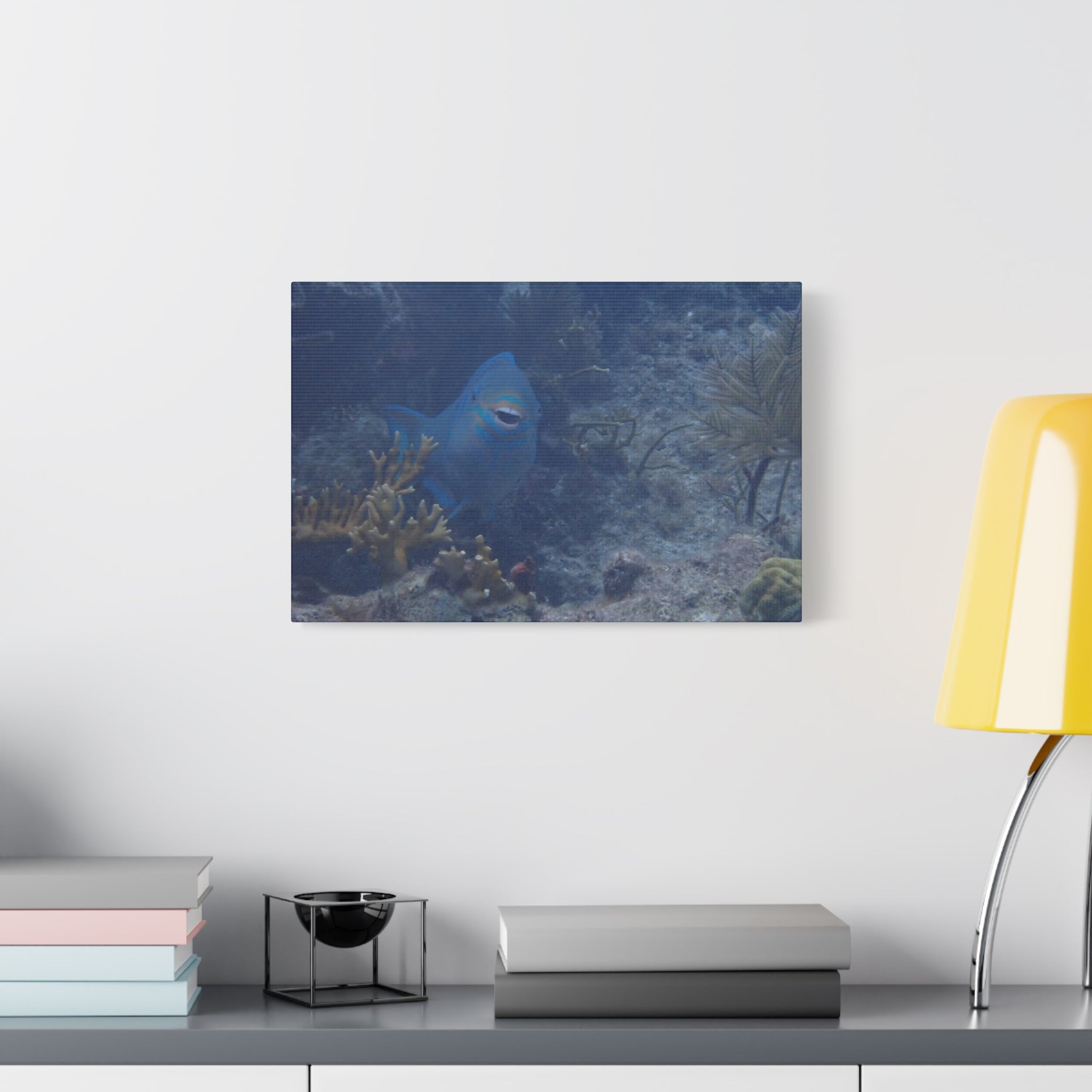 Underwater Parrotfish Canvas Print — Tropical Reef Wall Art