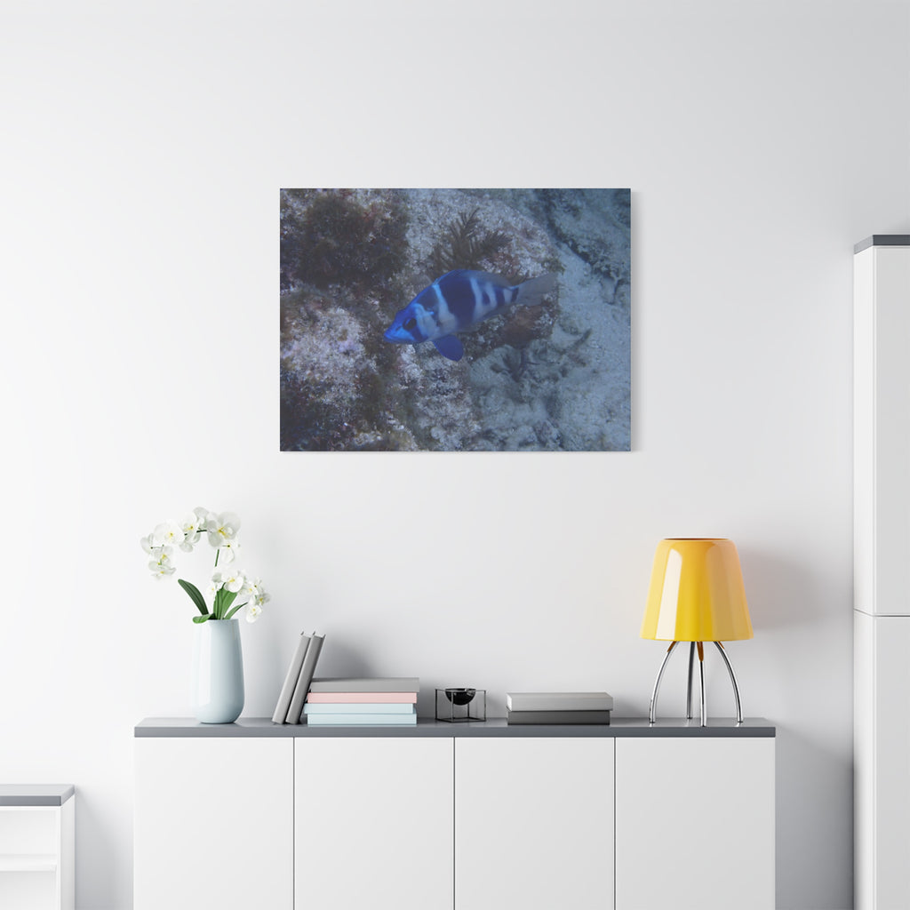 Indigo Hamlet Canvas Print — Underwater Matte Stretched Wall Art