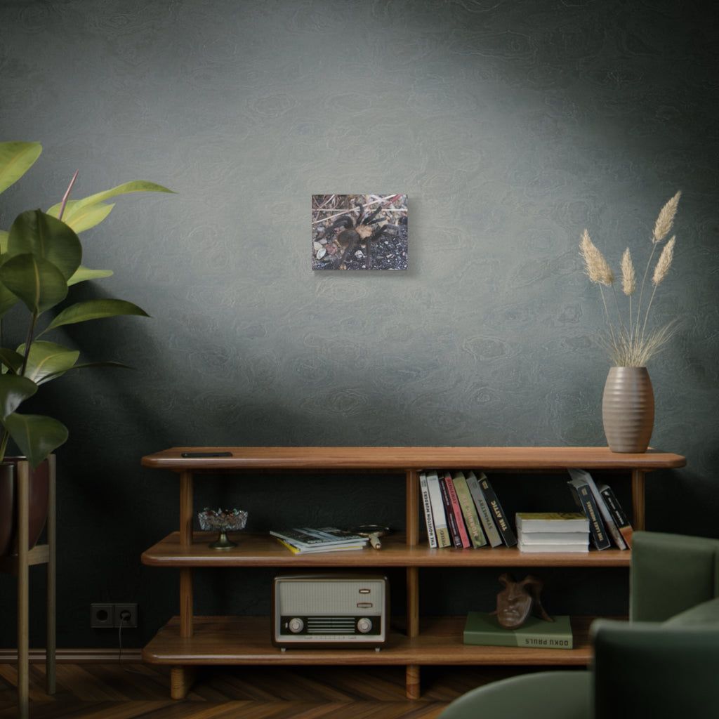 Tarantula Canvas Print — Matte Stretched Wall Art