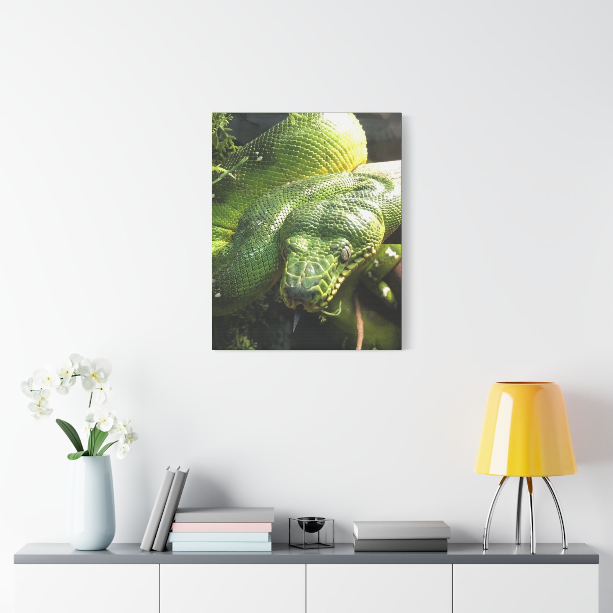 Green Tree Python Canvas Print — Tropical Snake Wall Art (Matte Stretched)