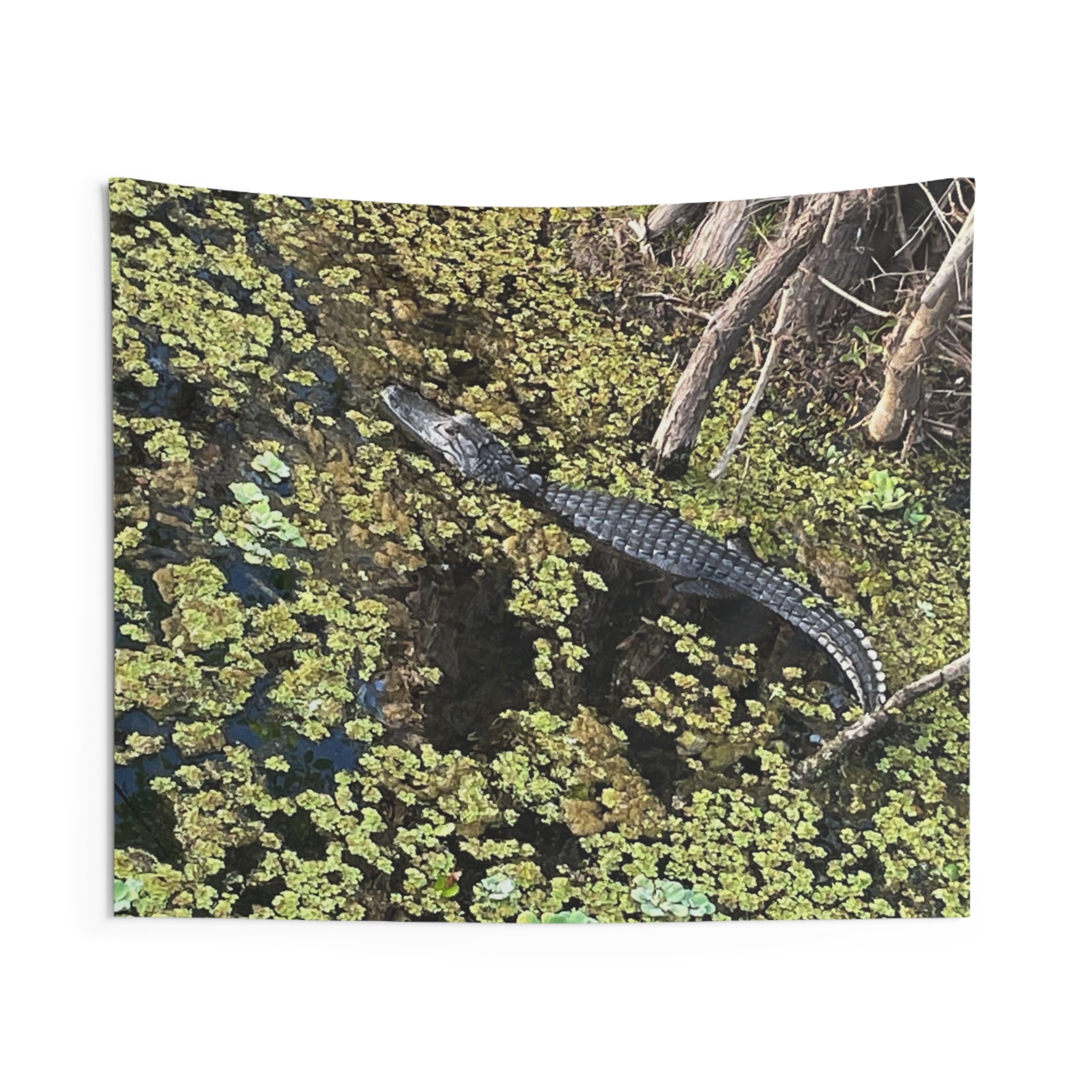 Alligator Marsh Wall Tapestry — Realistic Swamp Wildlife Decor
