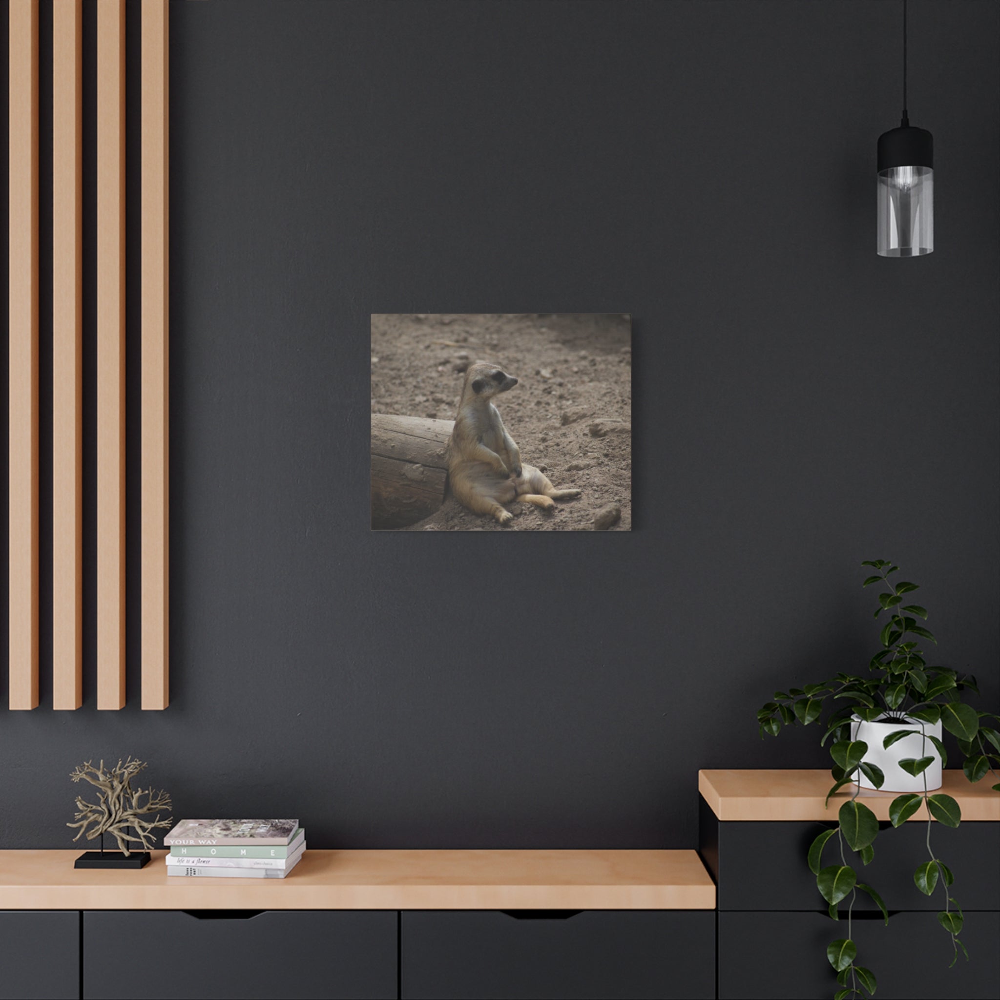 Relaxed Meerkat Matte Canvas Wall Art — Cute Animal Photo Print