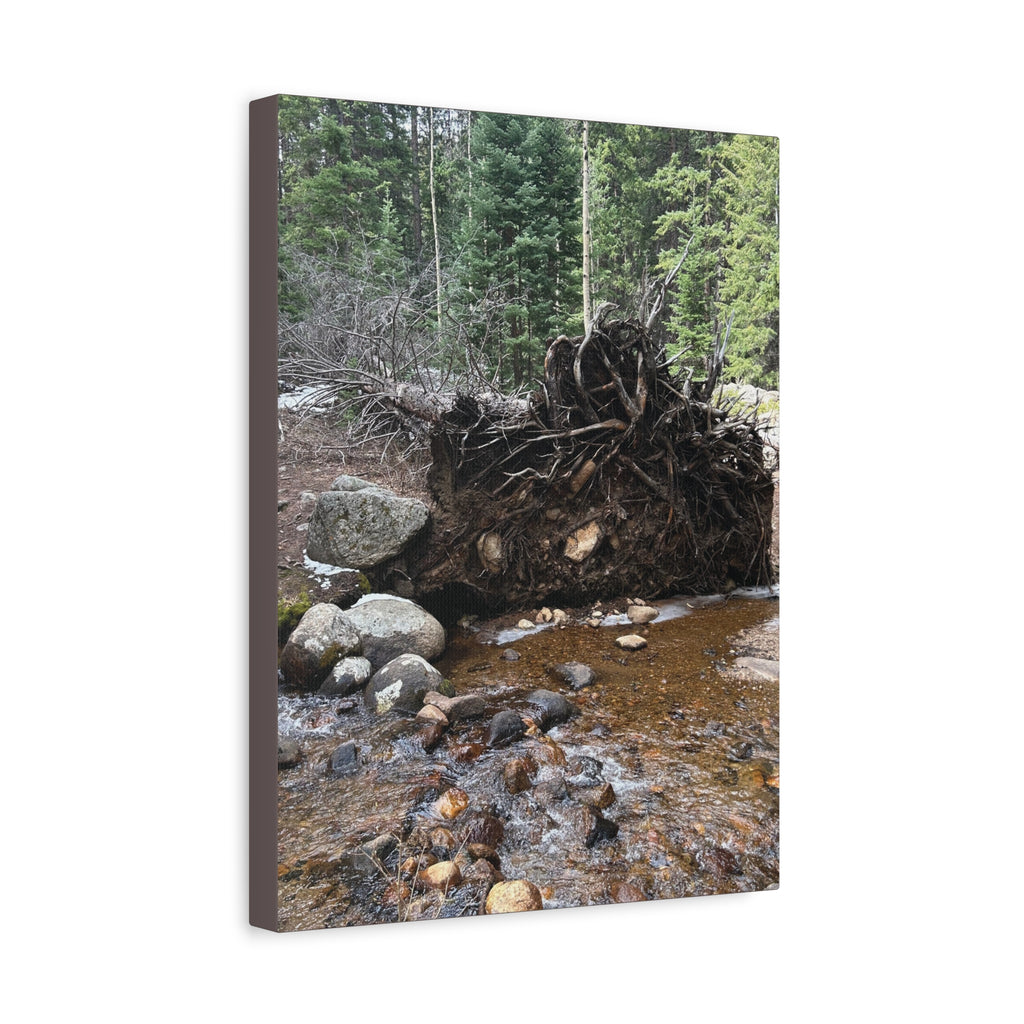 Riverbank Forest Canvas Print – Matte Stretched Wall Art (1.25")
