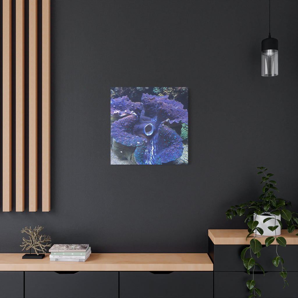 Blue Tridacna Clam Matte Canvas Print — Vibrant Ocean Coral Wall Art
