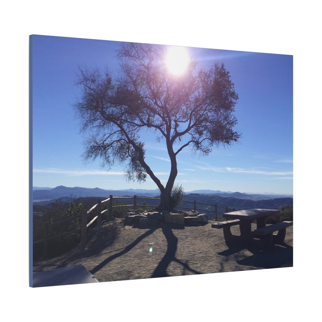 Sunlit Ridge Tree Matte Canvas Print — Scenic Landscape Wall Art