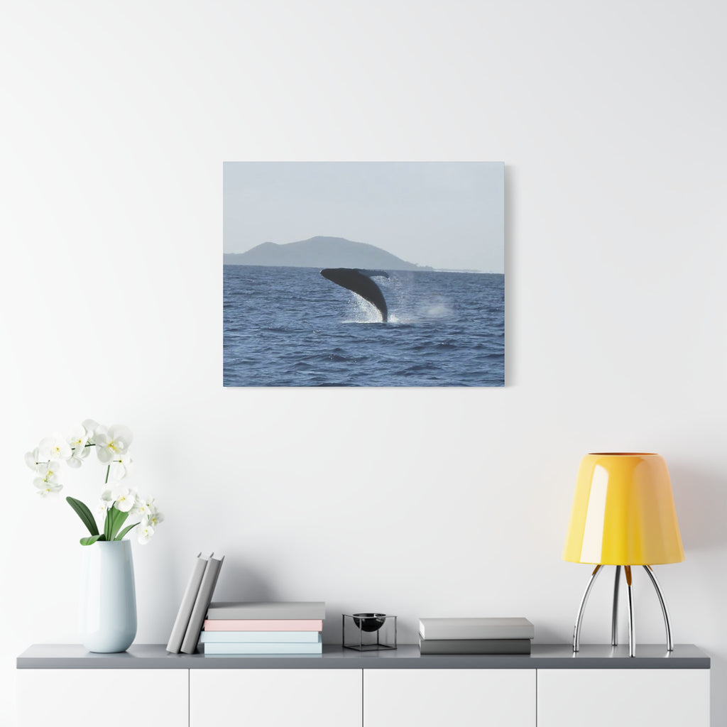 Humpback Whale Breach Matte Canvas Wall Art