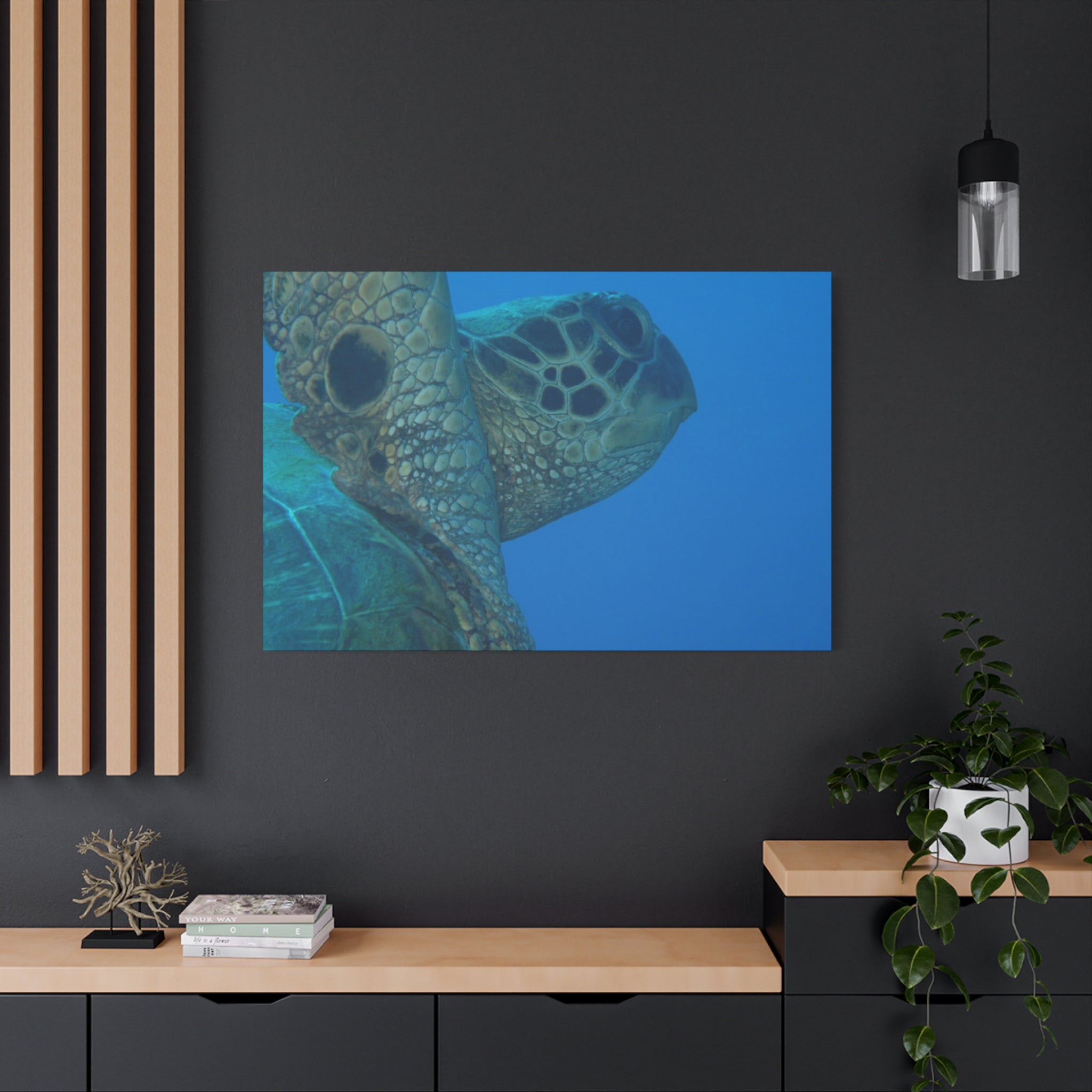 Green Sea Turtle Wall Canvas — Matte Stretched Ocean Photography Art