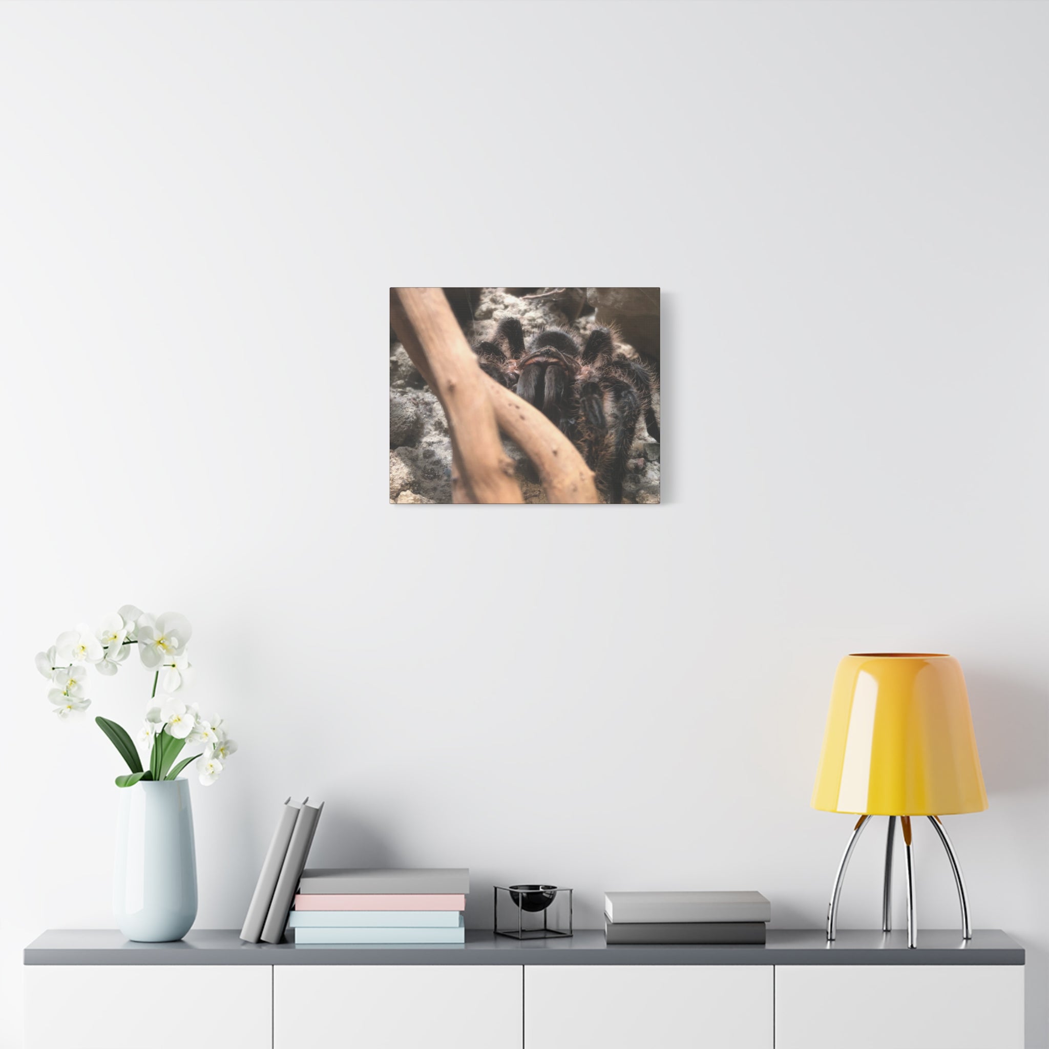 Tarantula Staredown Matte Canvas Print — Naturalistic Arachnid Wall Art