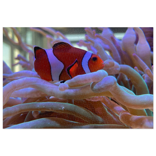 Clownfish Reef Jigsaw Puzzle — Puzzle with Tin Gift Box