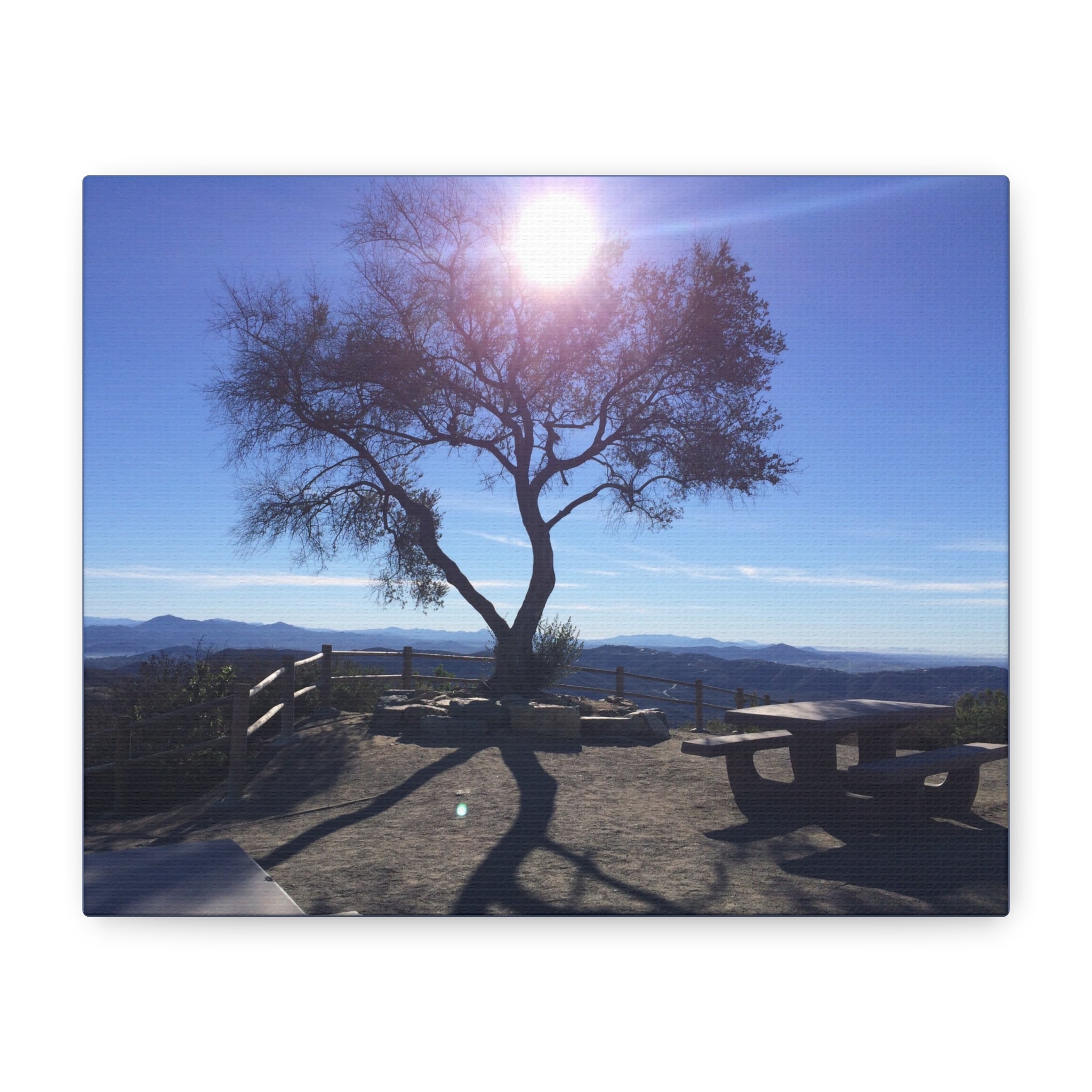 Sunlit Ridge Tree Matte Canvas Print — Scenic Landscape Wall Art