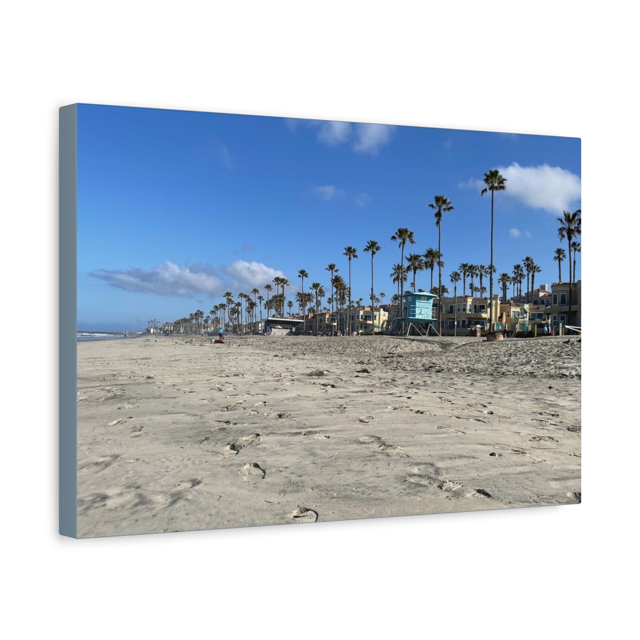 Coastal Palm Beach Canvas Print — Stretched Matte Wall Art