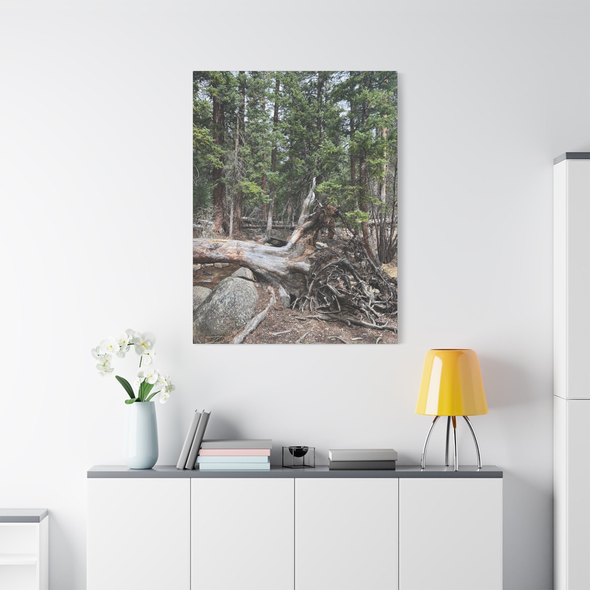 Forest Rootscape Matte Canvas Print — Stretched Wall Art