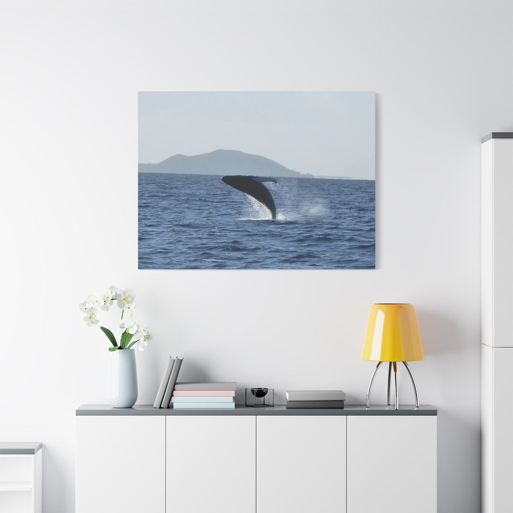 Humpback Whale Breach Matte Canvas Wall Art