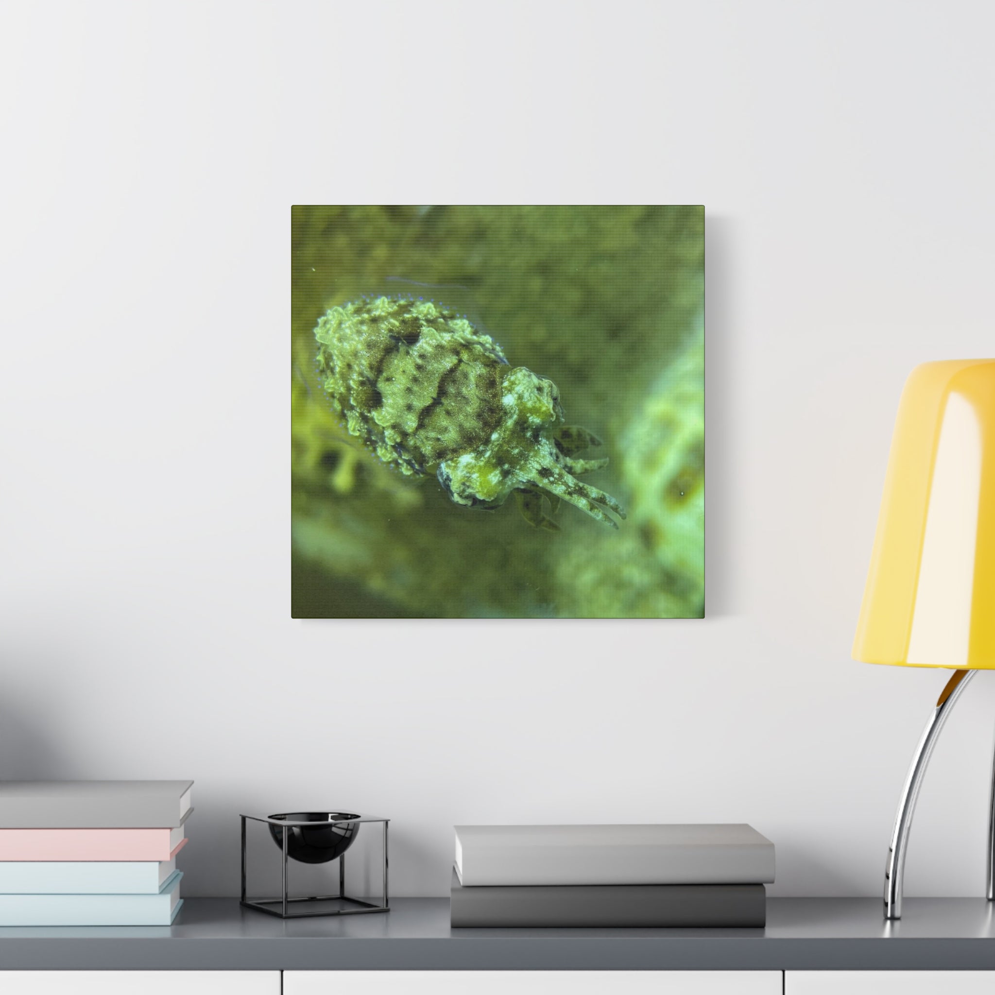 Dwarf Cuttlefish Canvas Print — Matte Stretched Sea Life Wall Art