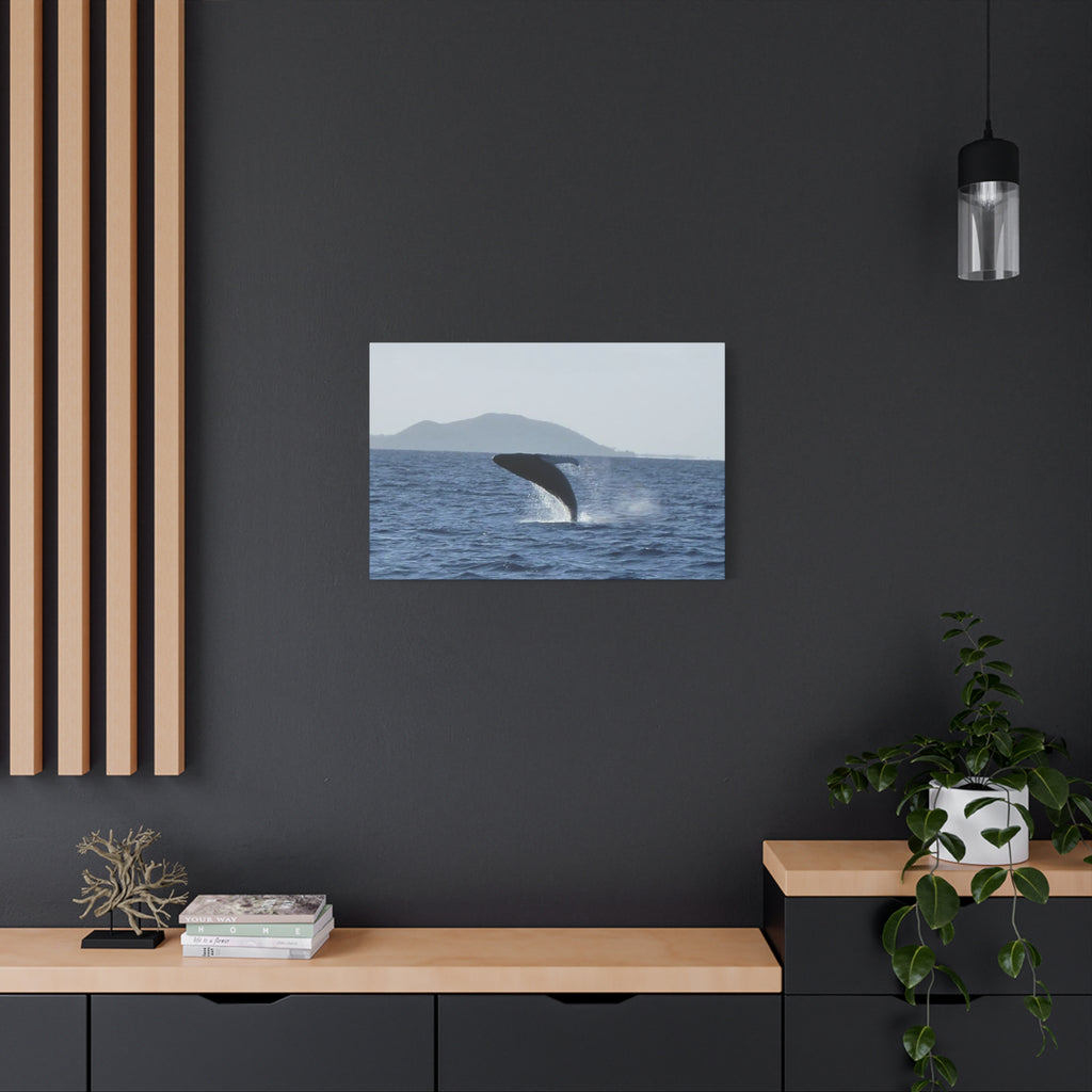 Humpback Whale Breach Matte Canvas Wall Art