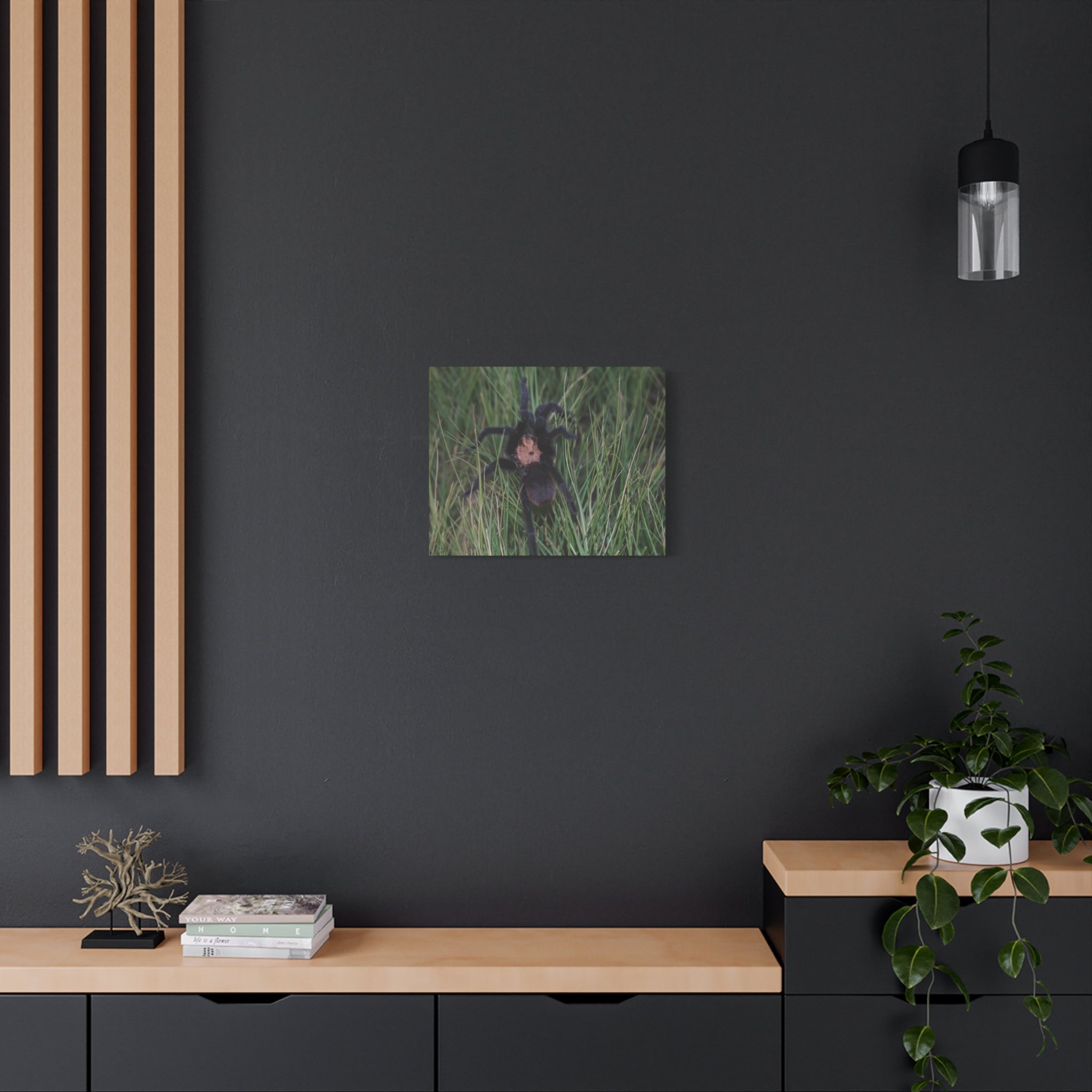 Roaming Tarantula Wall Art Canvas - Realistic Spider Photography on Matte Stretched Canvas