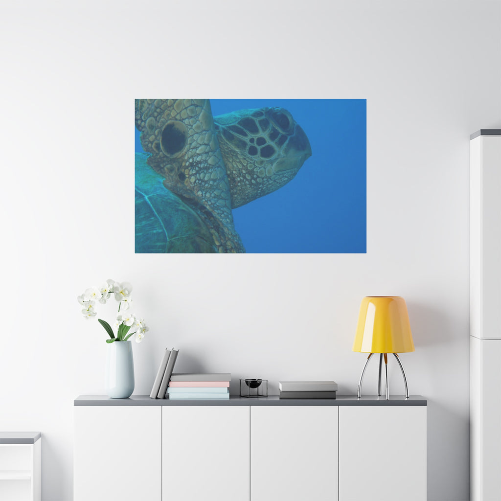Green Sea Turtle Wall Canvas — Matte Stretched Ocean Photography Art