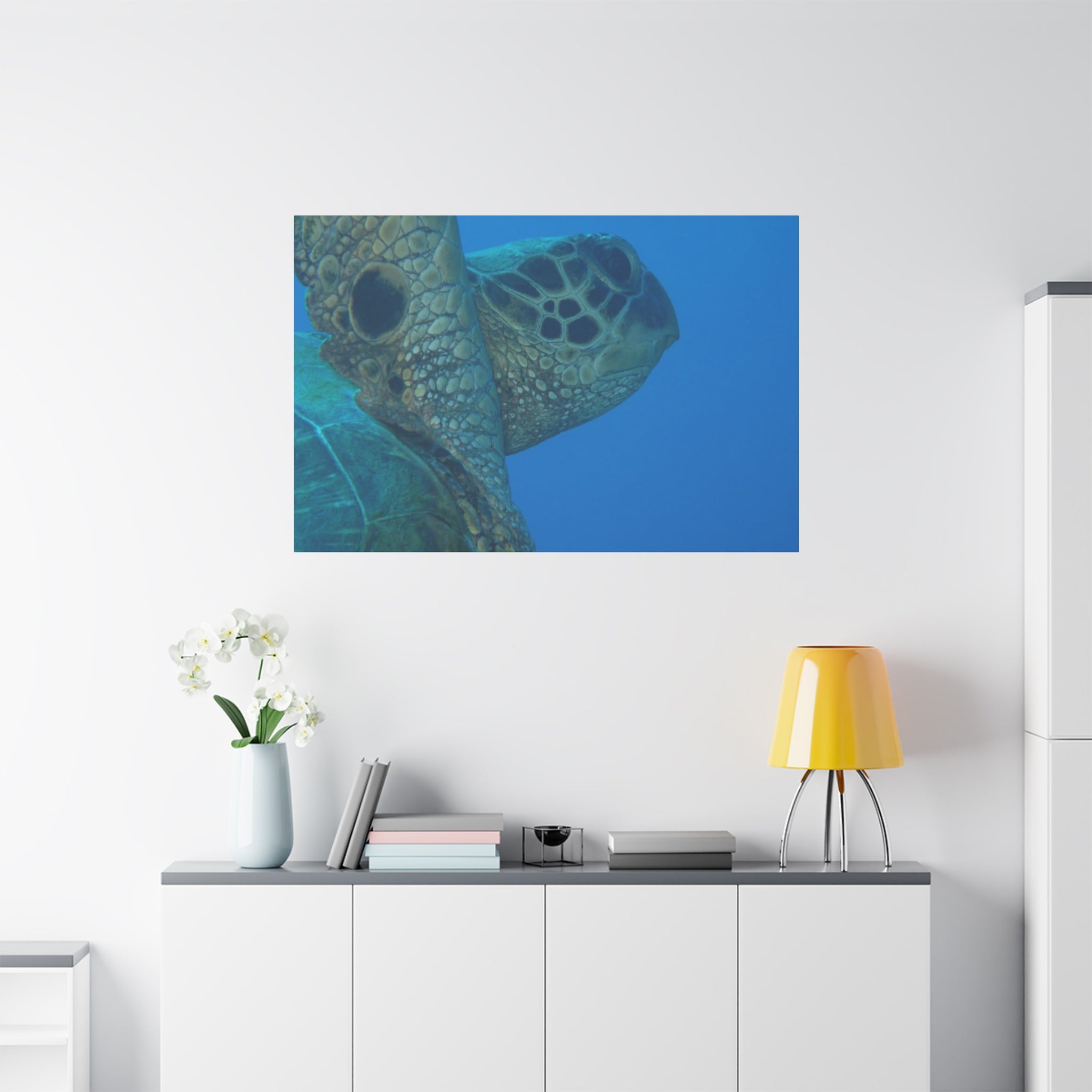 Green Sea Turtle Wall Canvas — Matte Stretched Ocean Photography Art