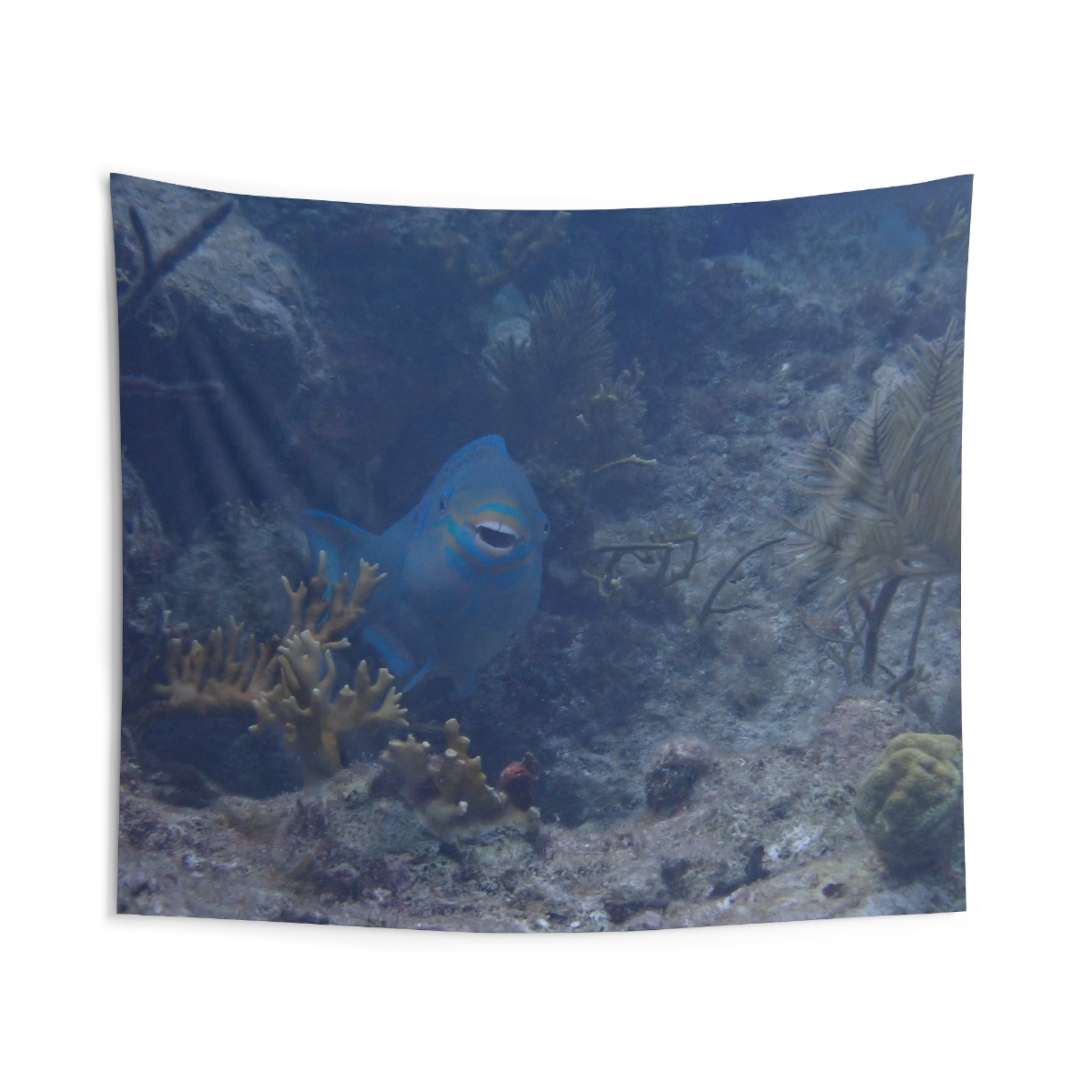 Underwater Parrotfish Wall Tapestry — Ocean Reef Scenery Decor